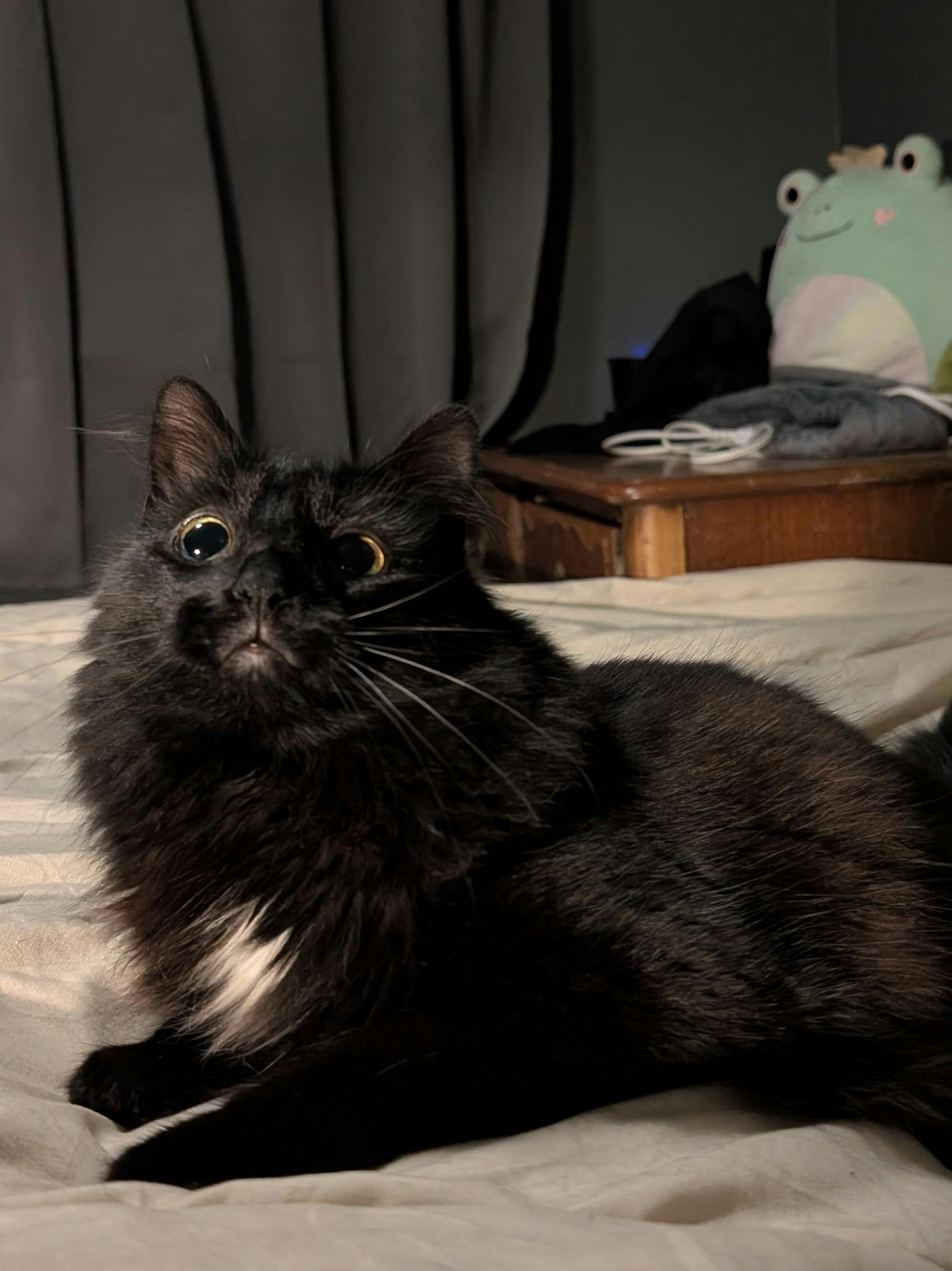 user avatar image for Disgruntled Bard