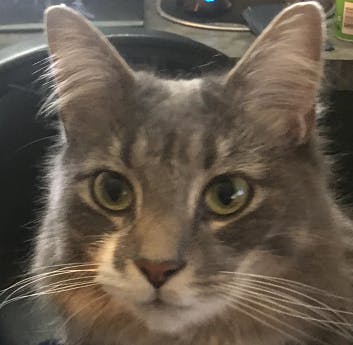 user avatar image for Blair Monroe