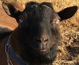 user avatar image for Russ Parker