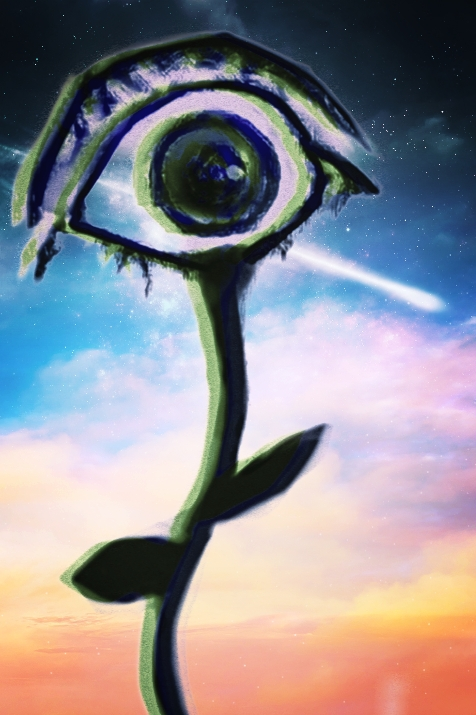 user avatar image for Michael Z