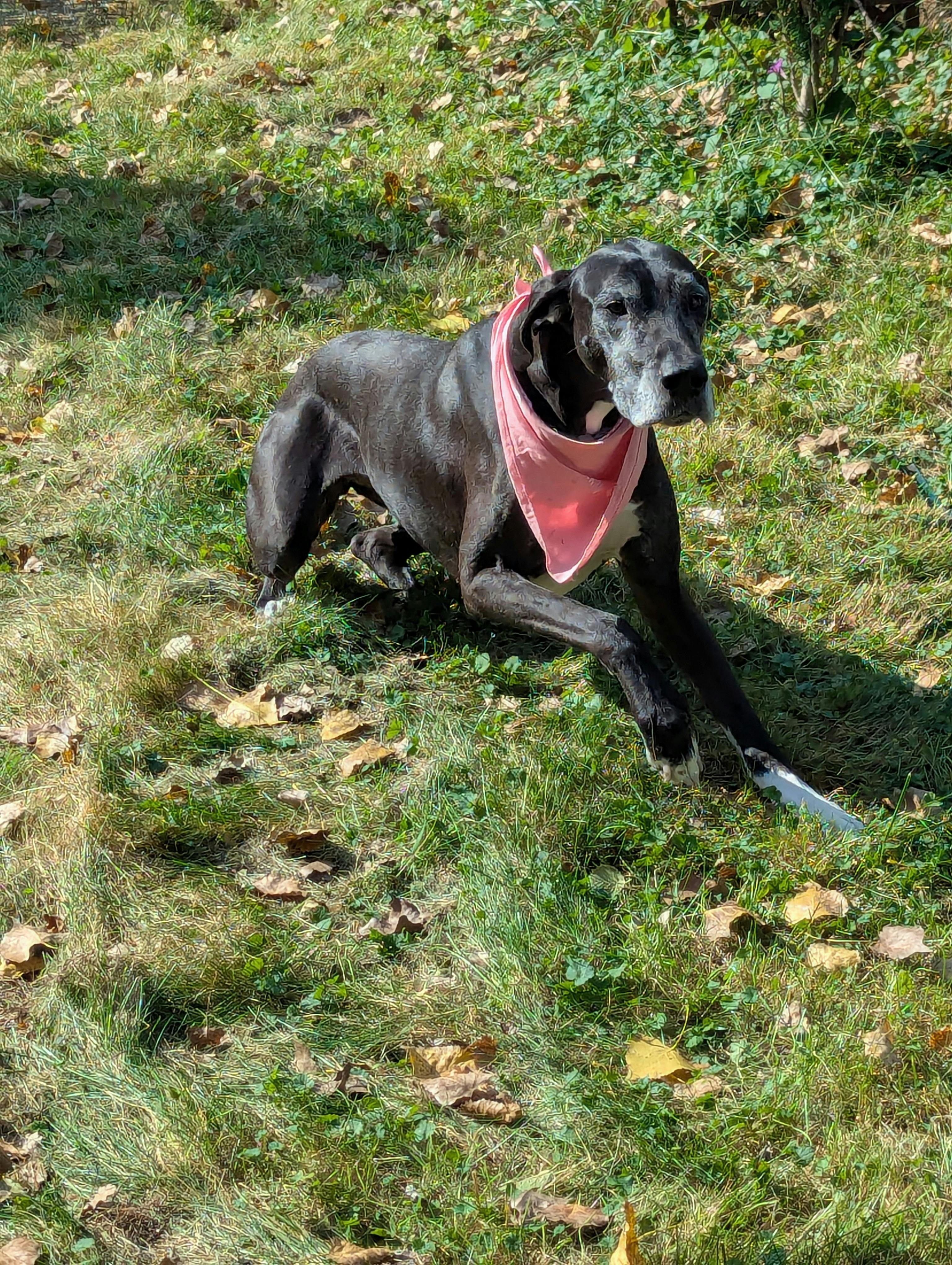 user avatar image for Andy