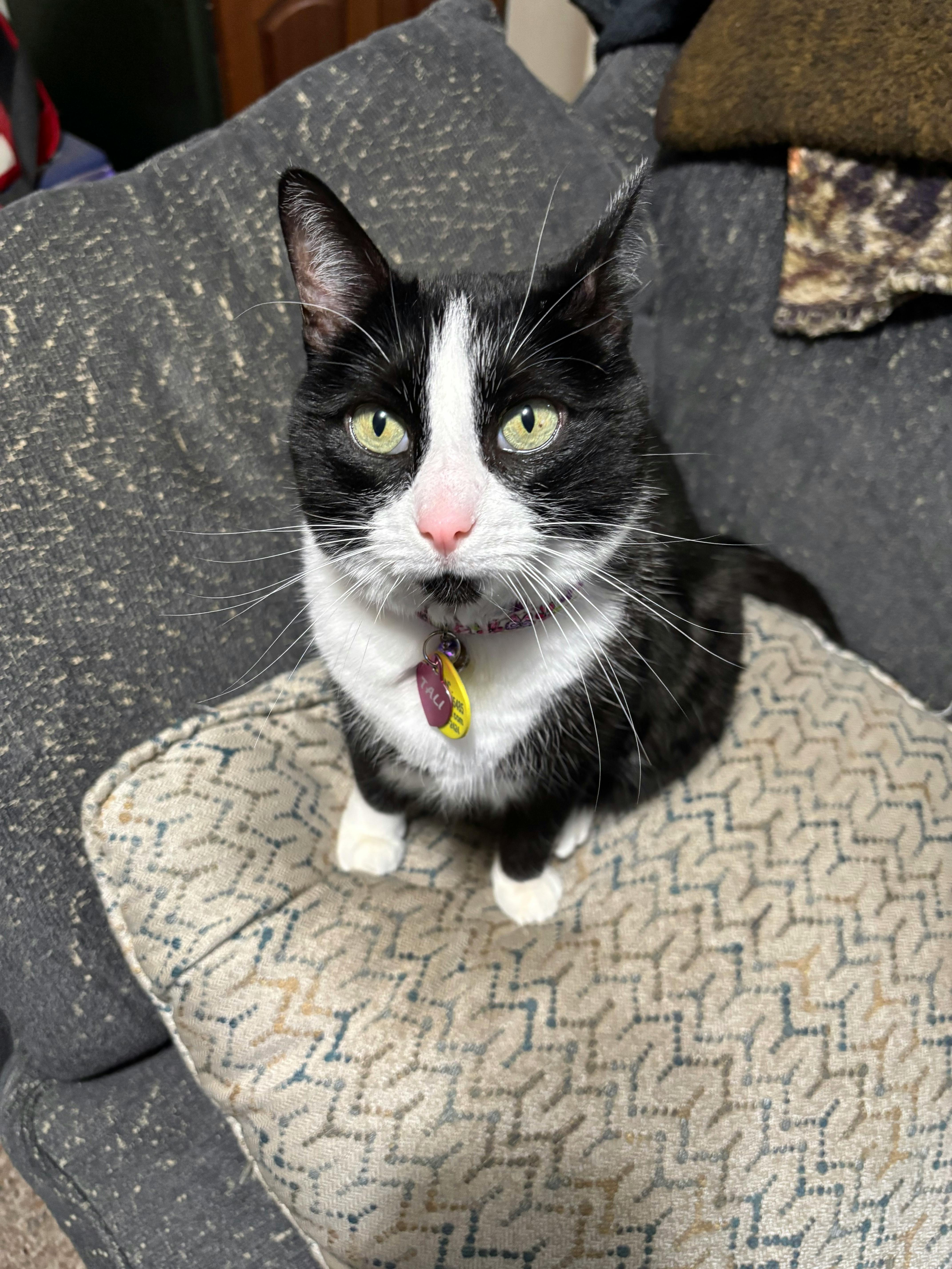 user avatar image for CyberCat2077