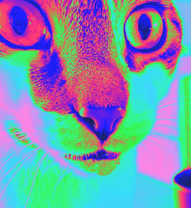 user avatar image for Isht