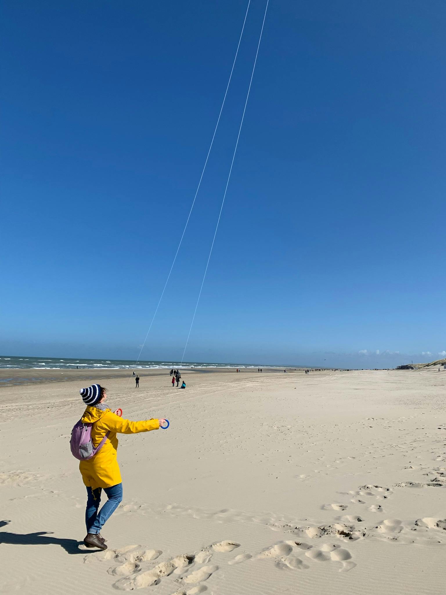 user avatar image for Stephie