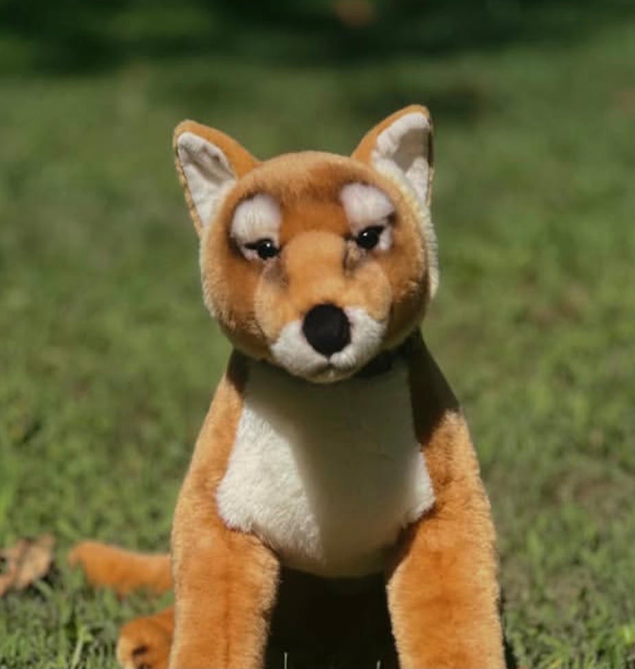 user avatar image for Wildberry plush