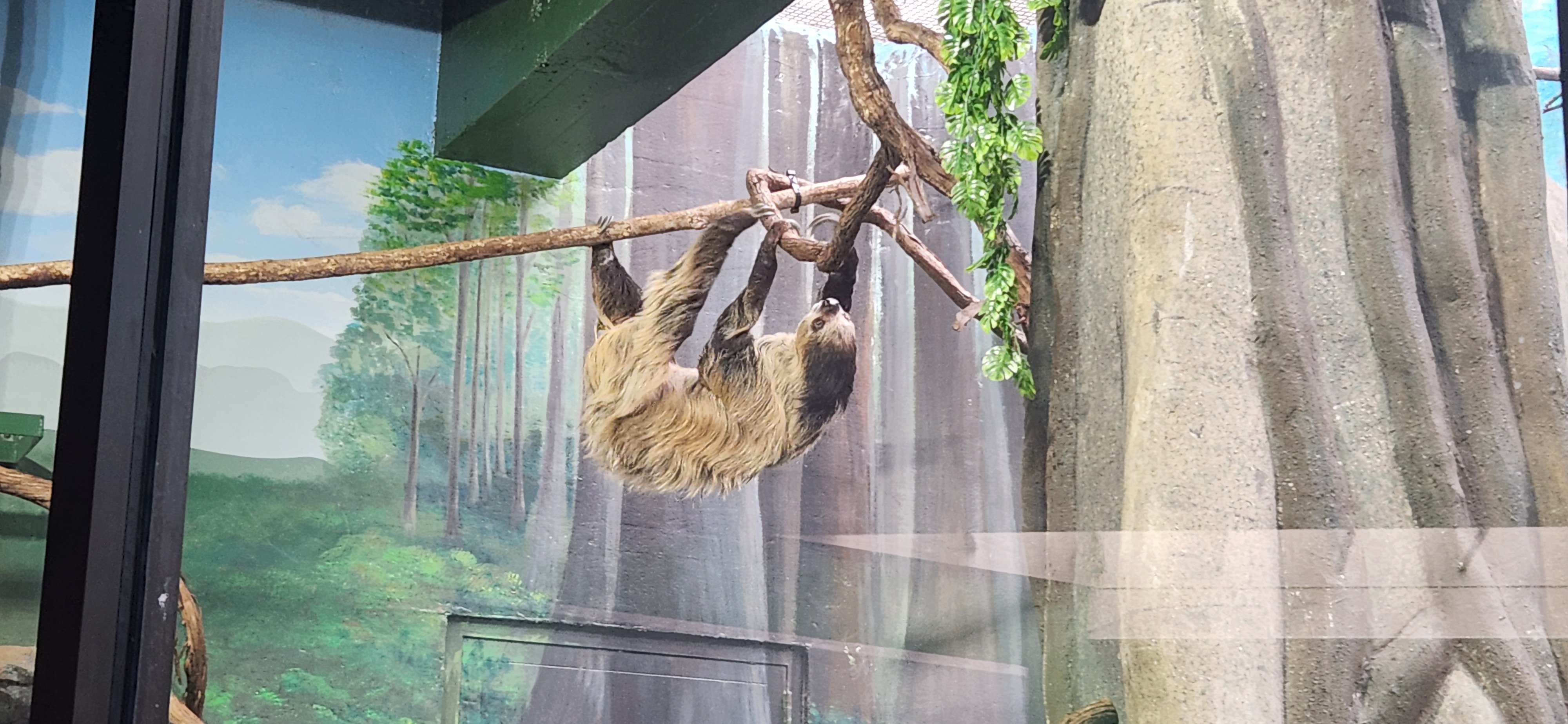 user avatar image for Linda