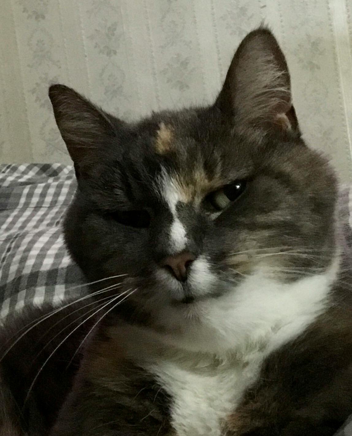 user avatar image for Sassy