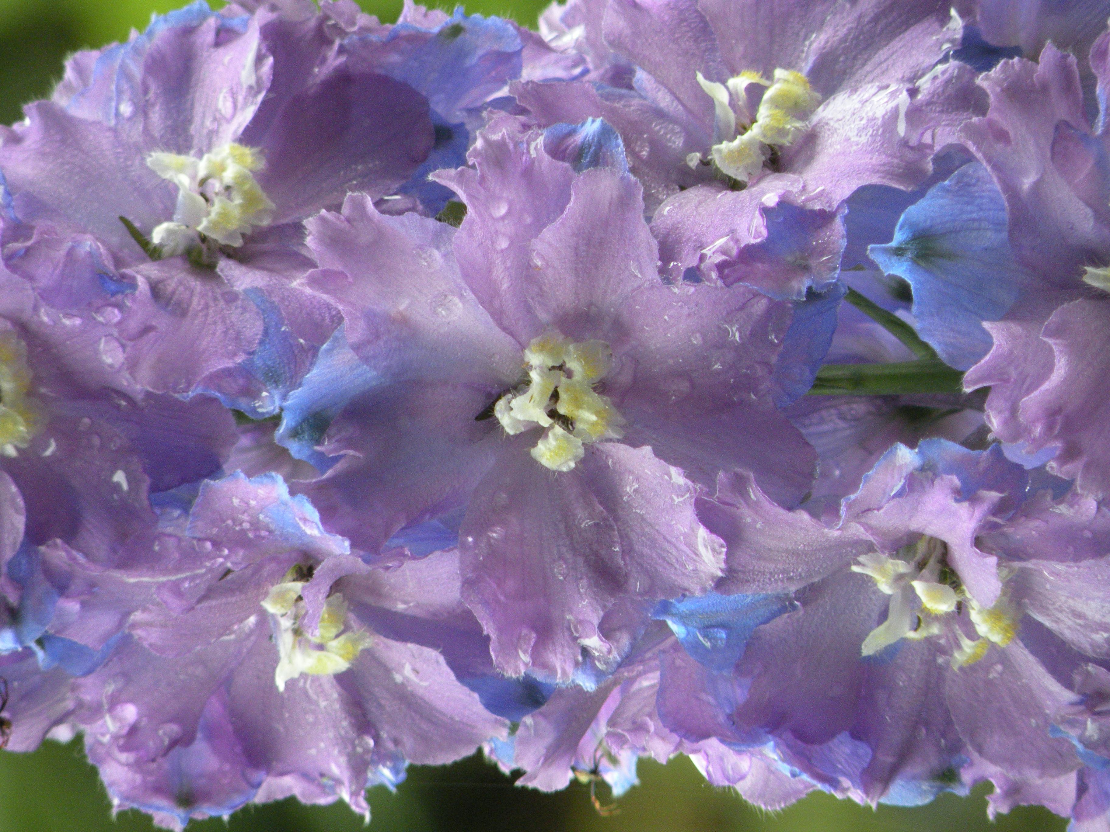 user avatar image for Tahtanista