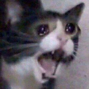 user avatar image for Lexi