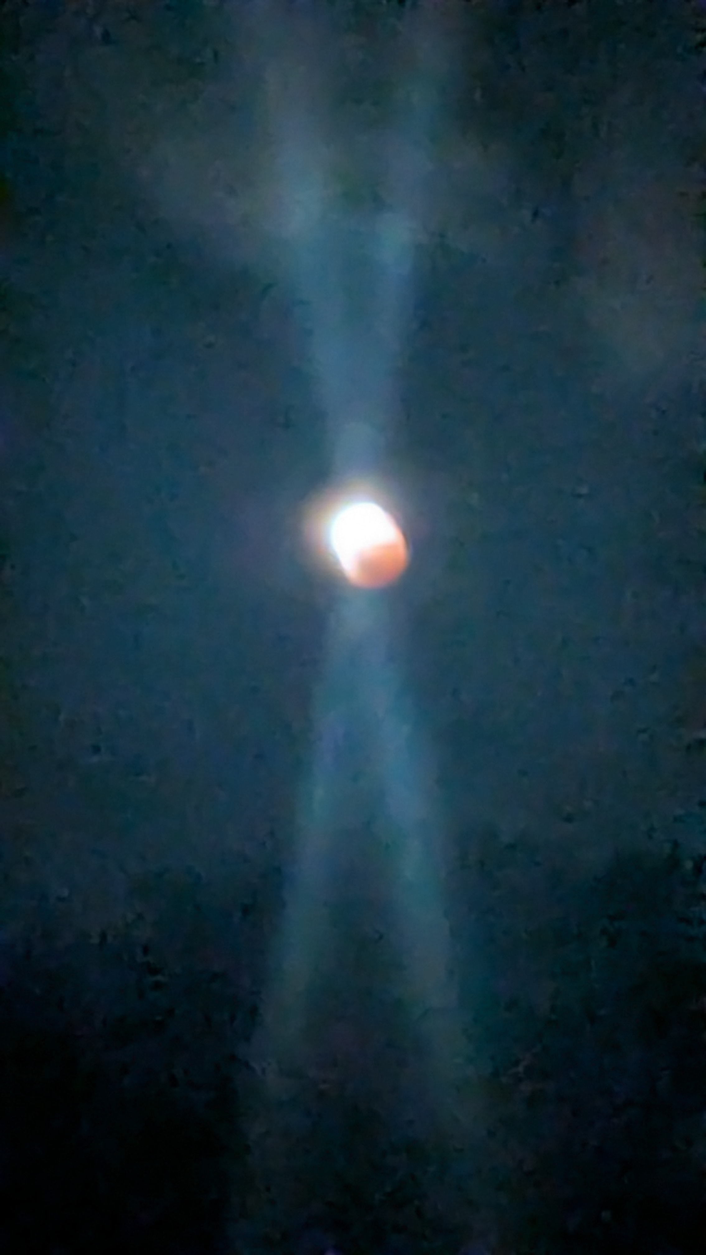 user avatar image for Aster