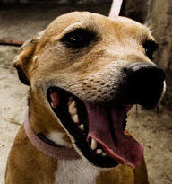 user avatar image for SwayBlack