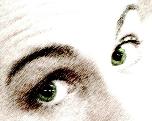 user avatar image for SXenia
