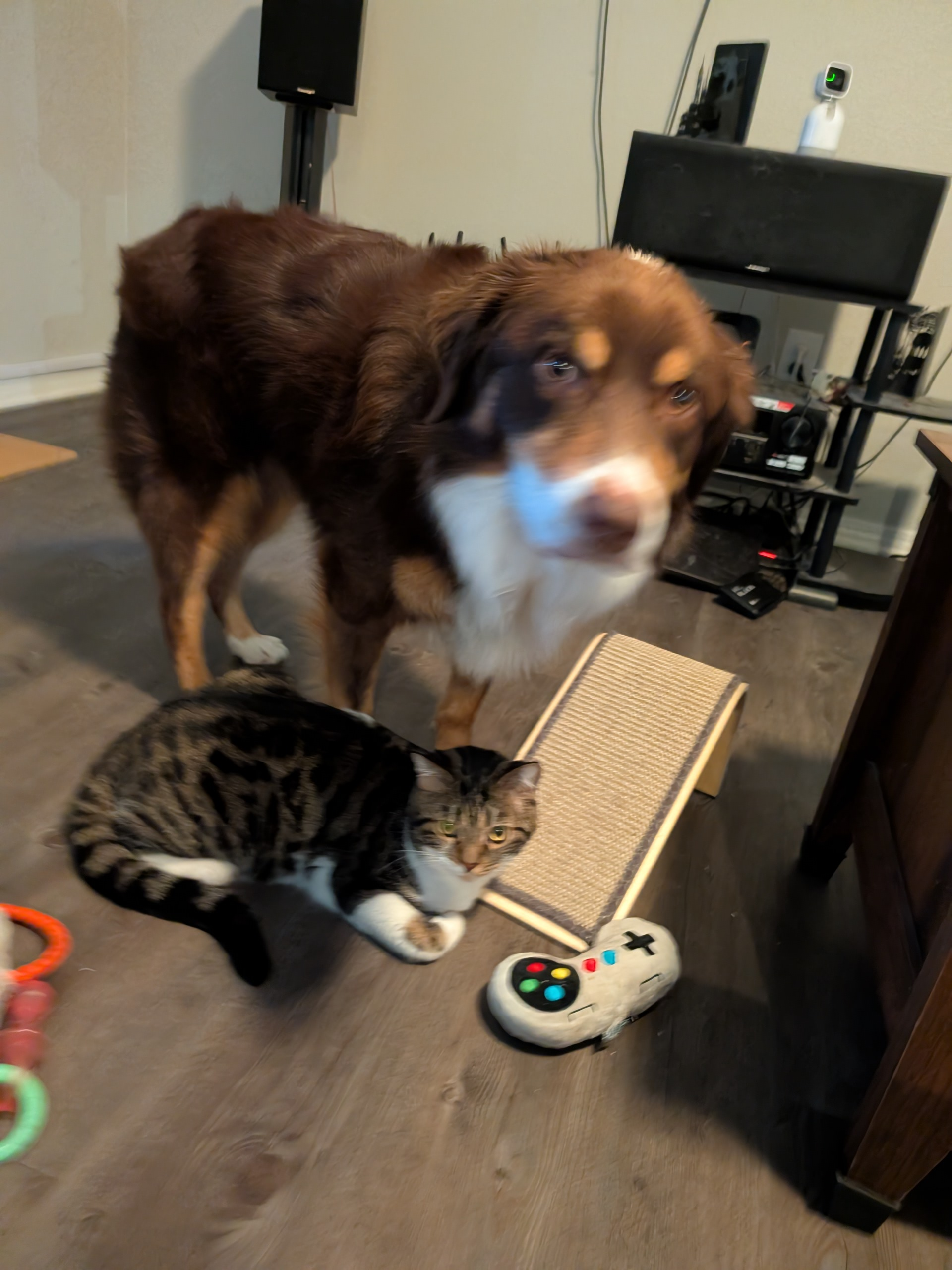 user avatar image for William Davis