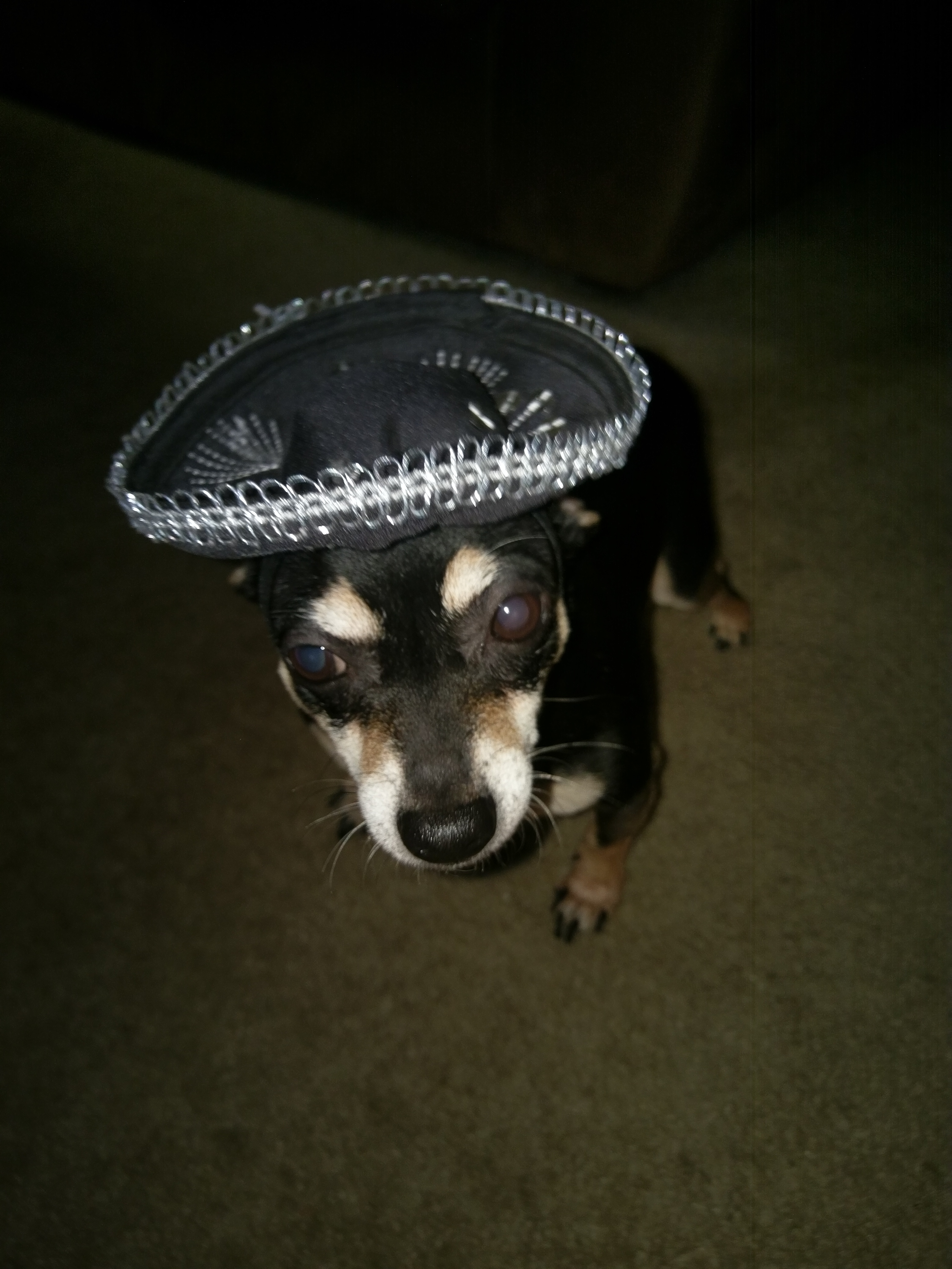 user avatar image for Curtis 