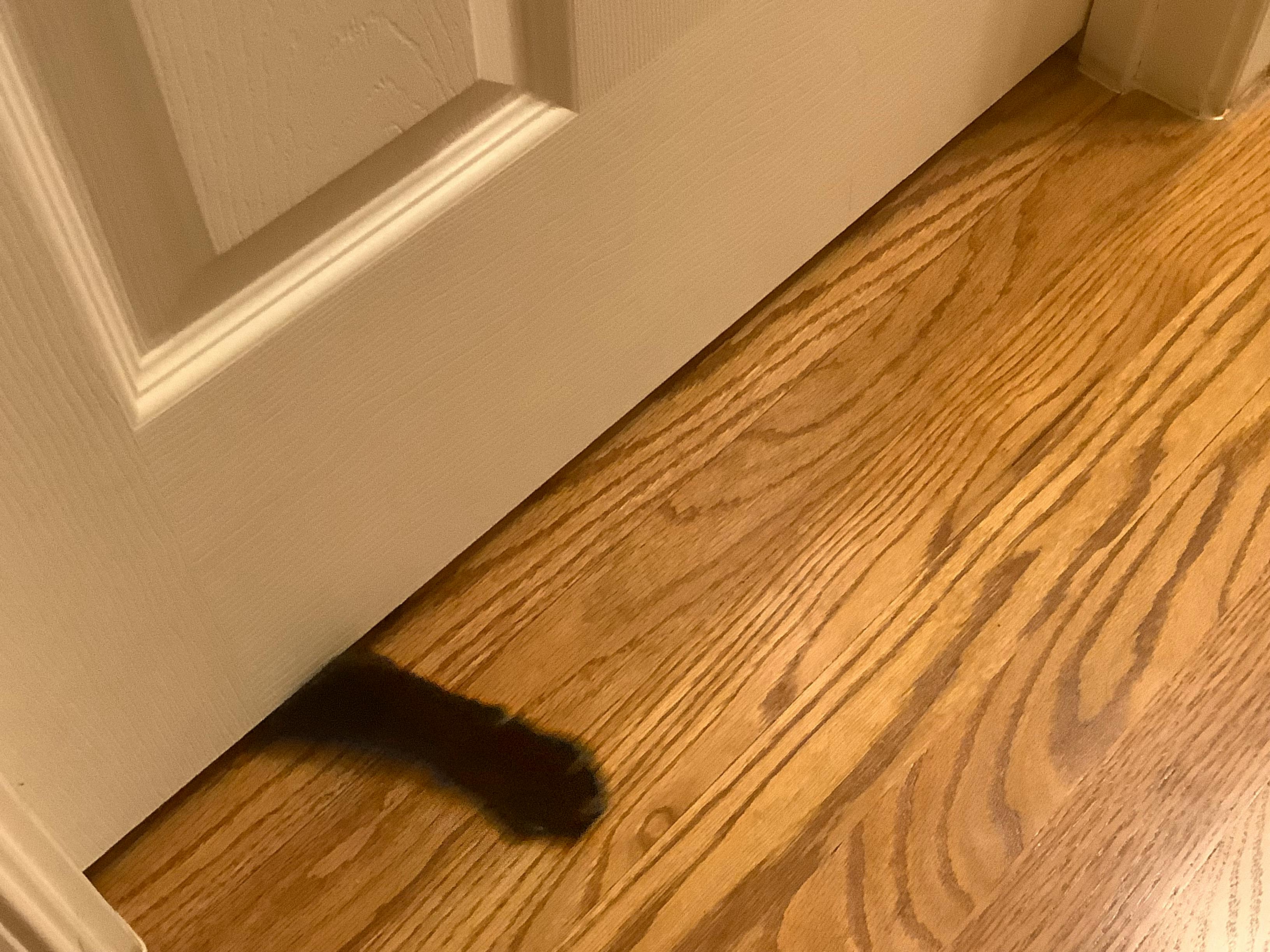 user avatar image for Terry McKelvey