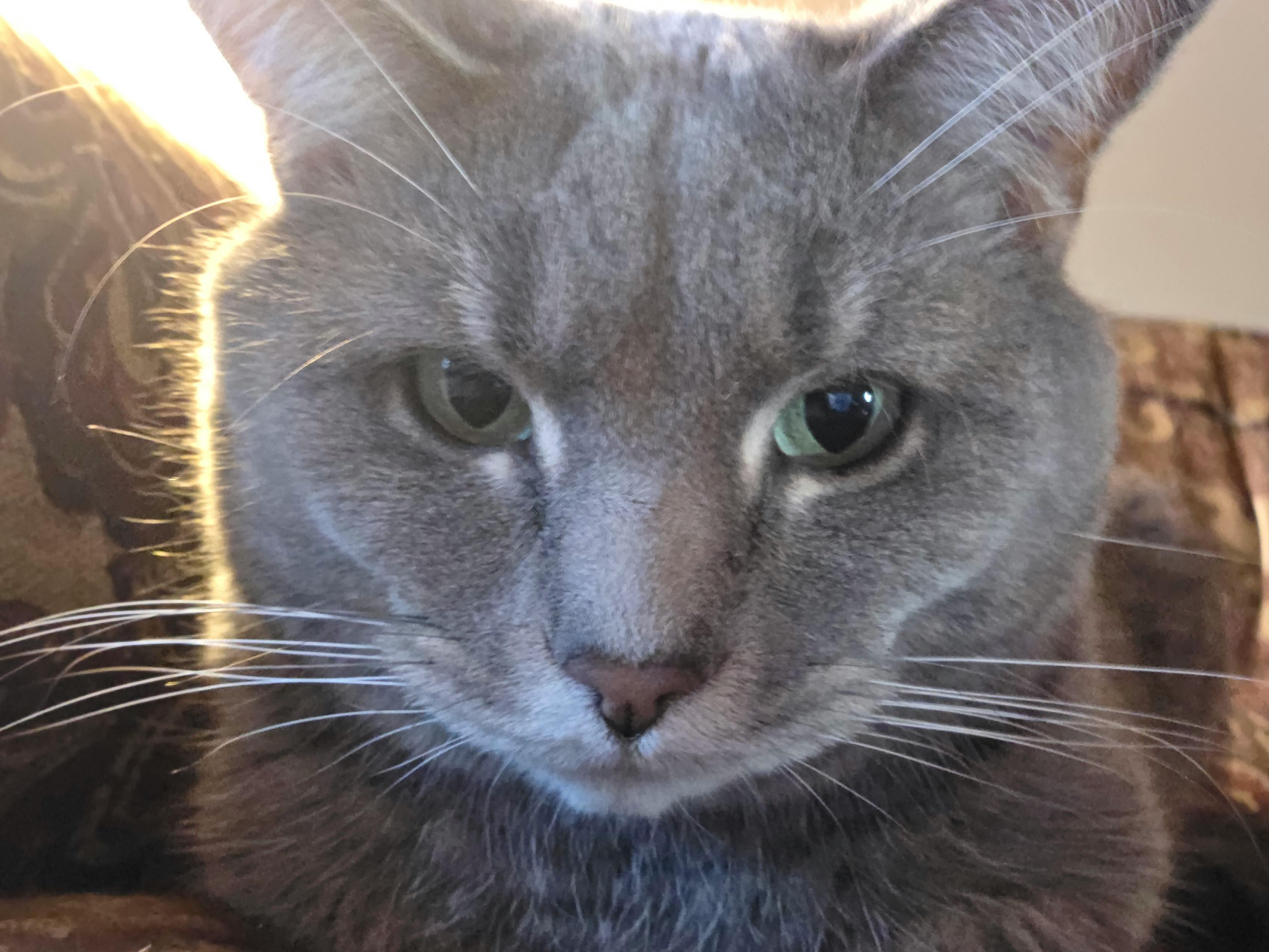user avatar image for Jillian