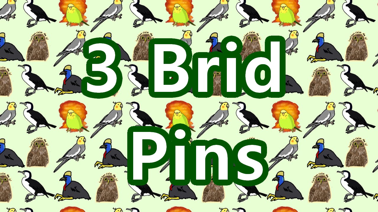 3 Brid Pins!