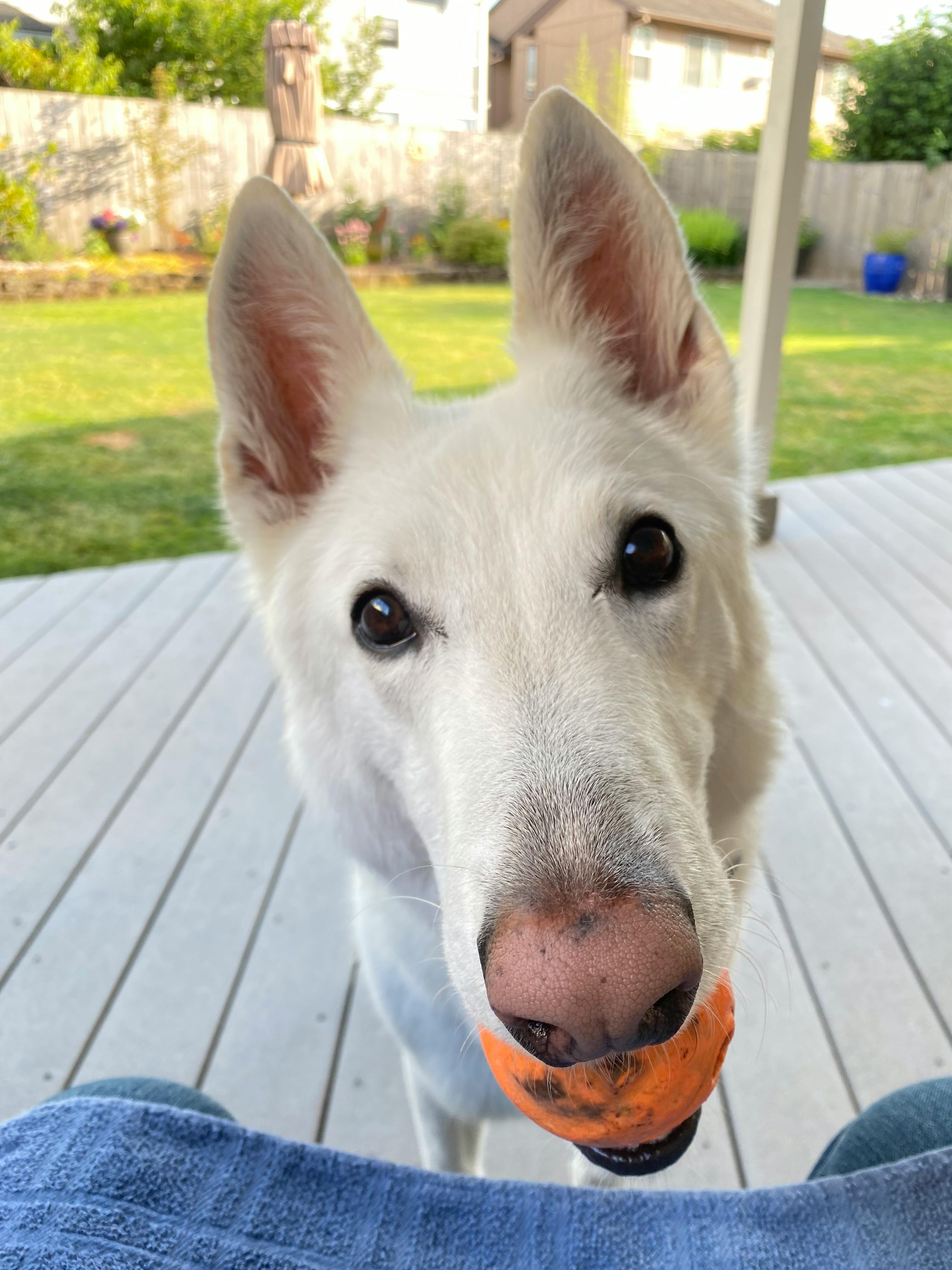 user avatar image for Brian V