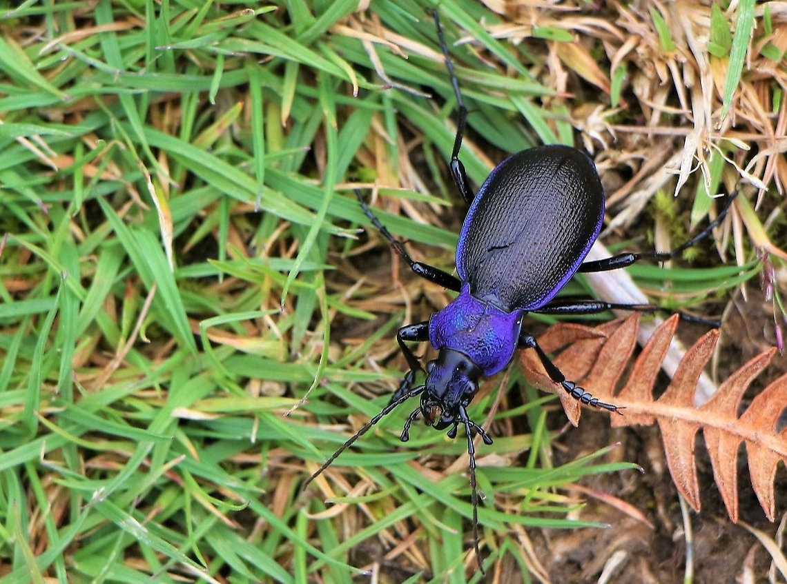 user avatar image for AndyWeidert