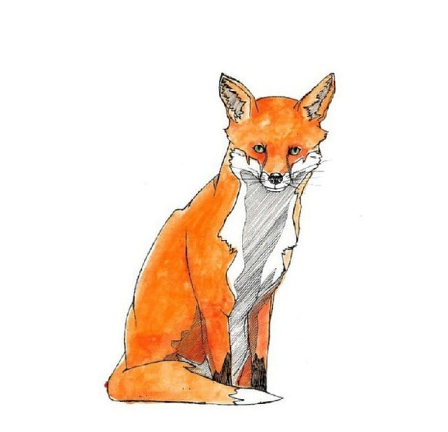 user avatar image for Wulf