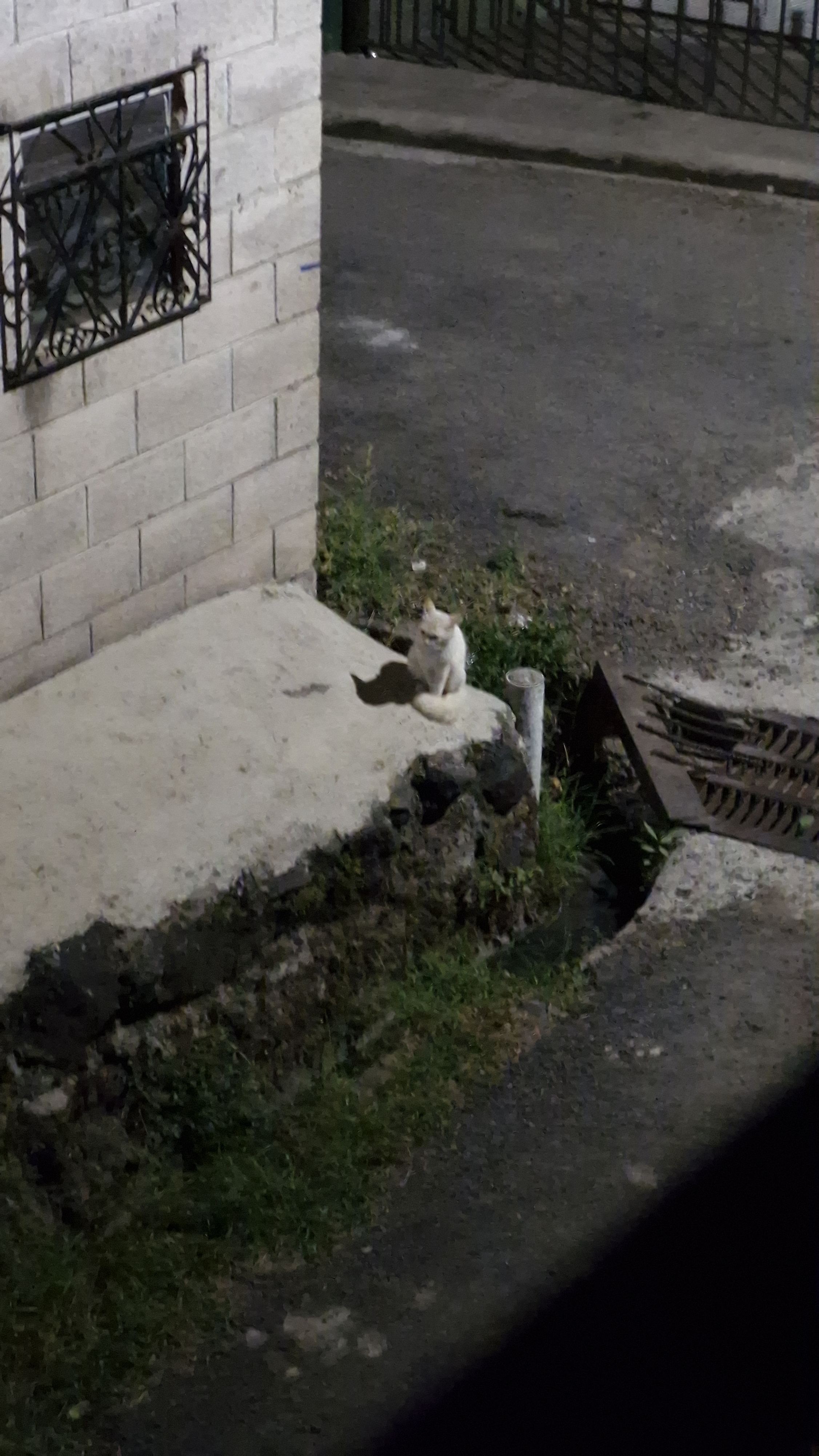 user avatar image for Lastrecinos