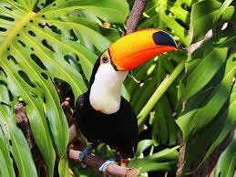 user avatar image for David Koch