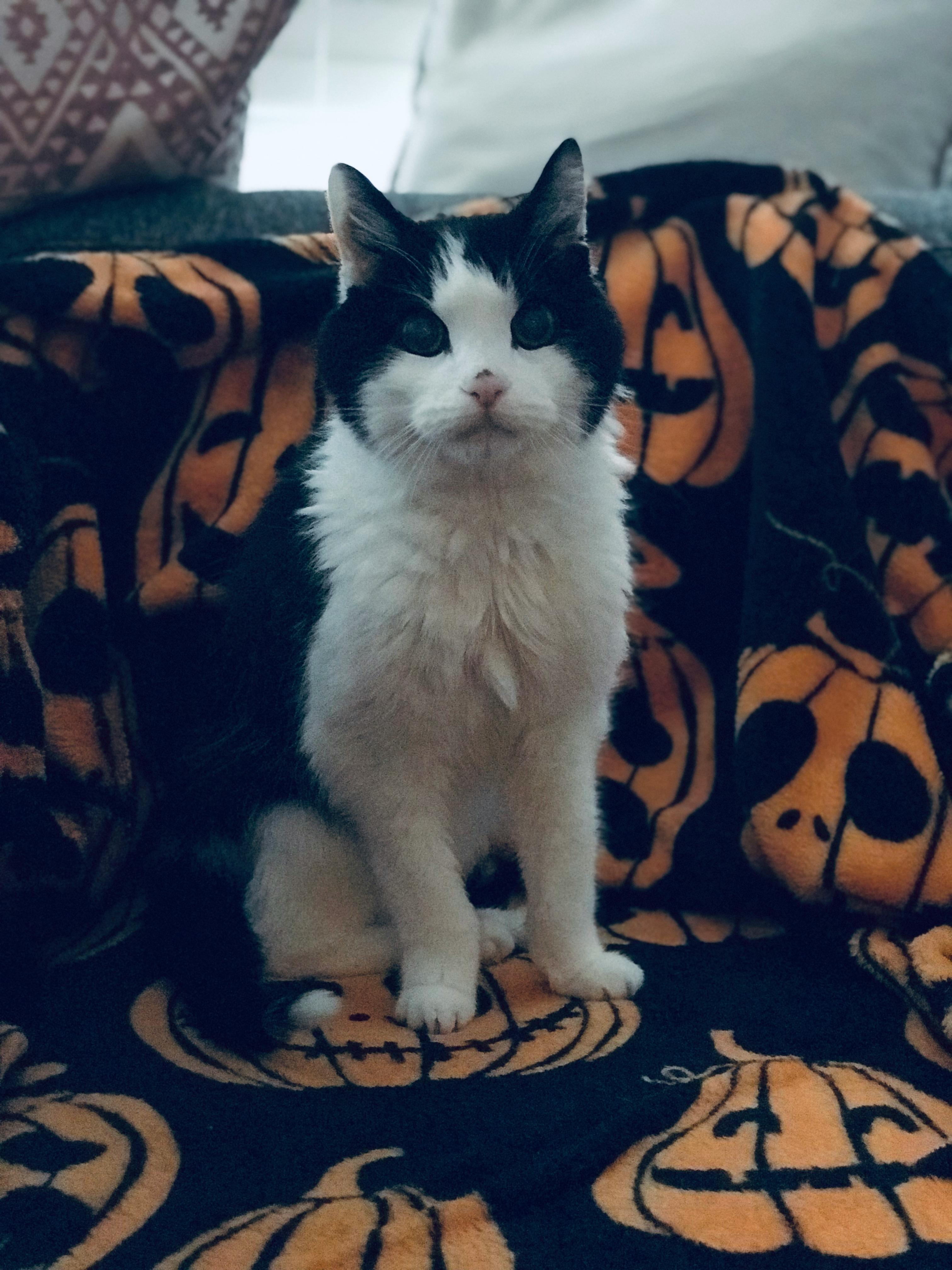 user avatar image for Liliana 