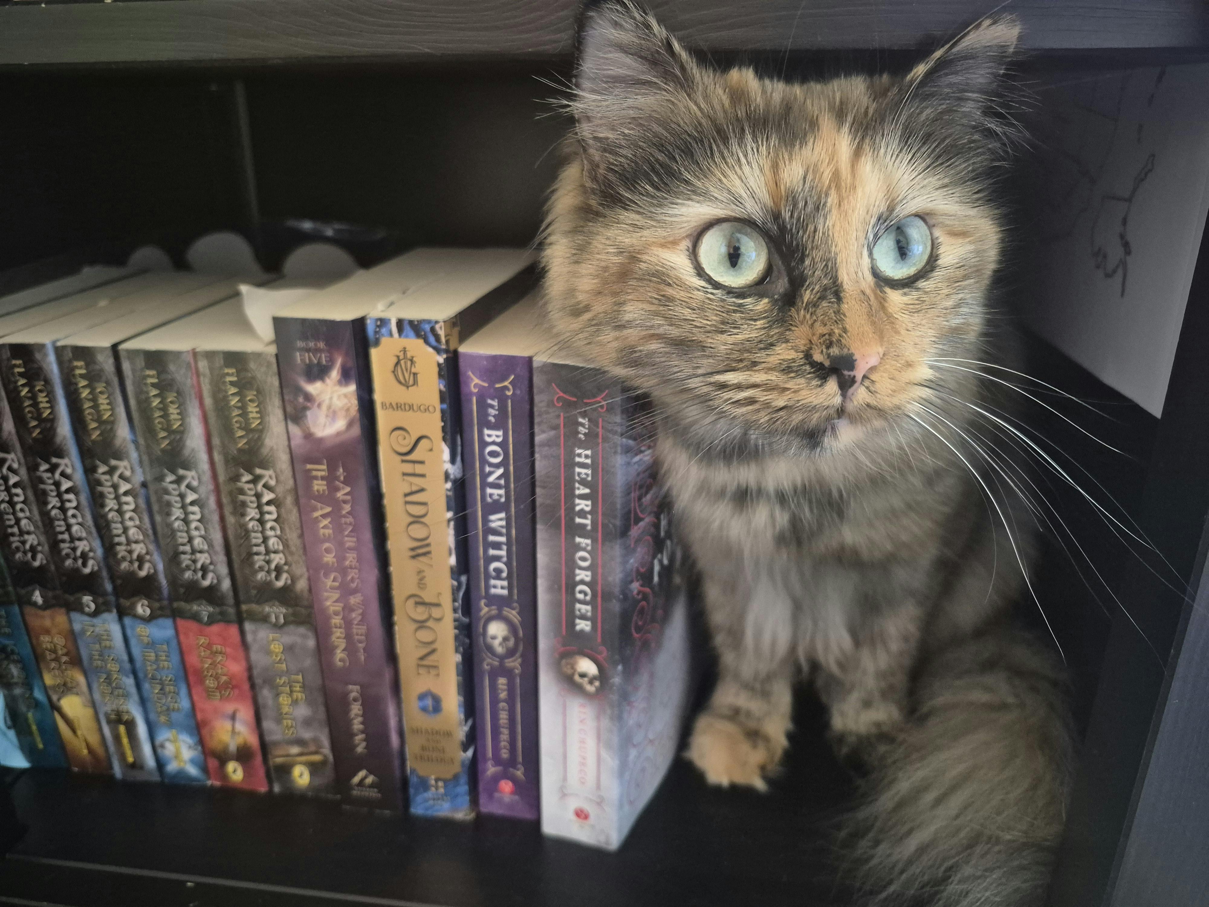 user avatar image for Annika Beckham 