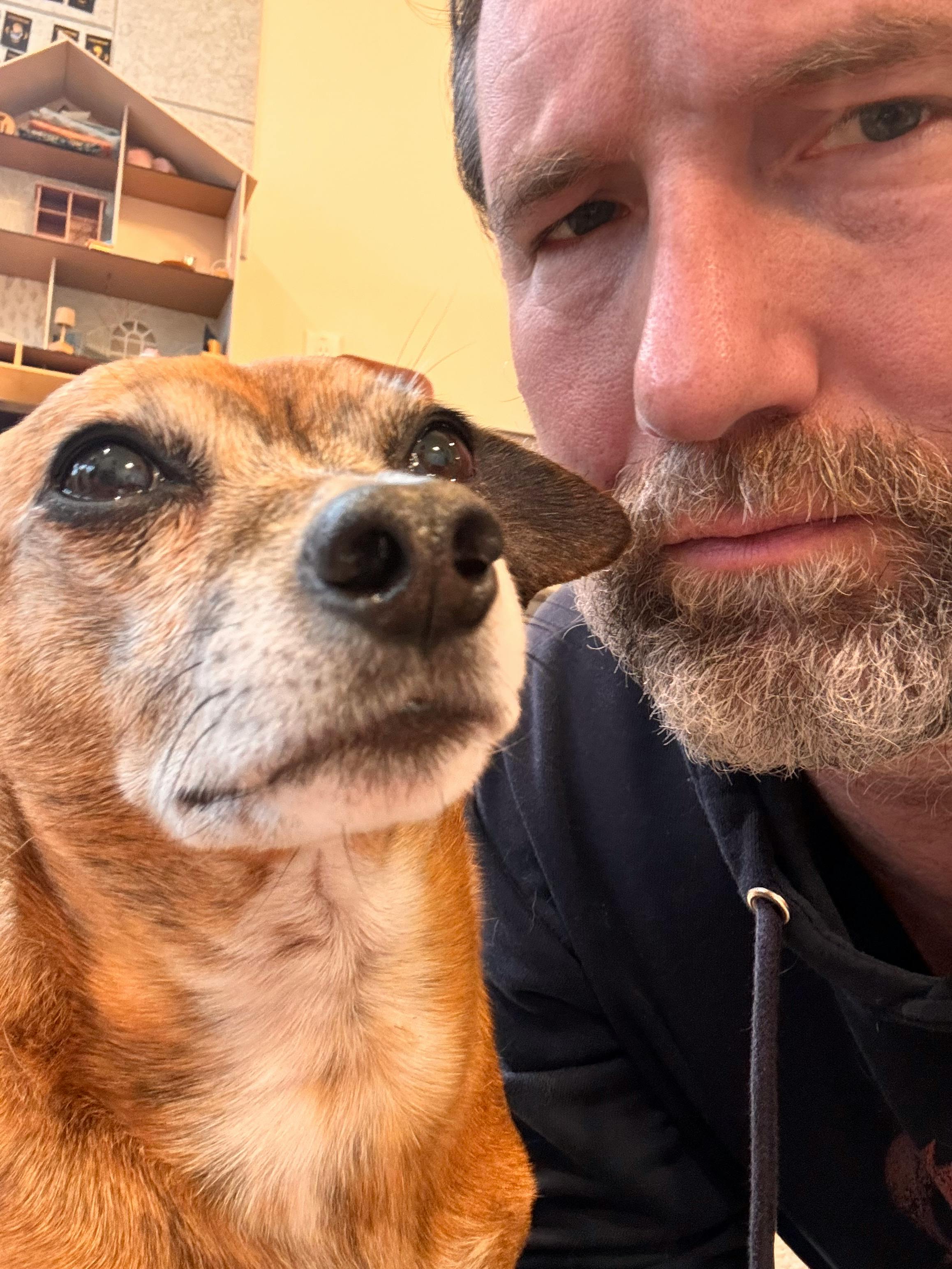 user avatar image for Grant M