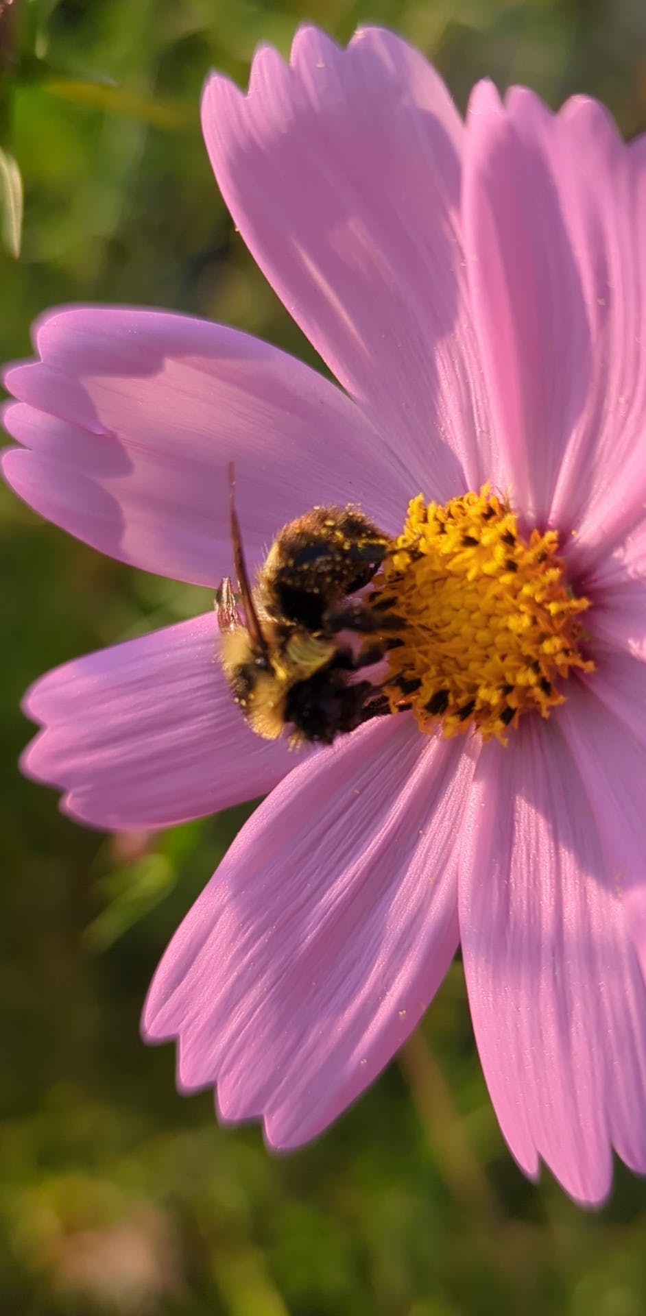 user avatar image for Beth