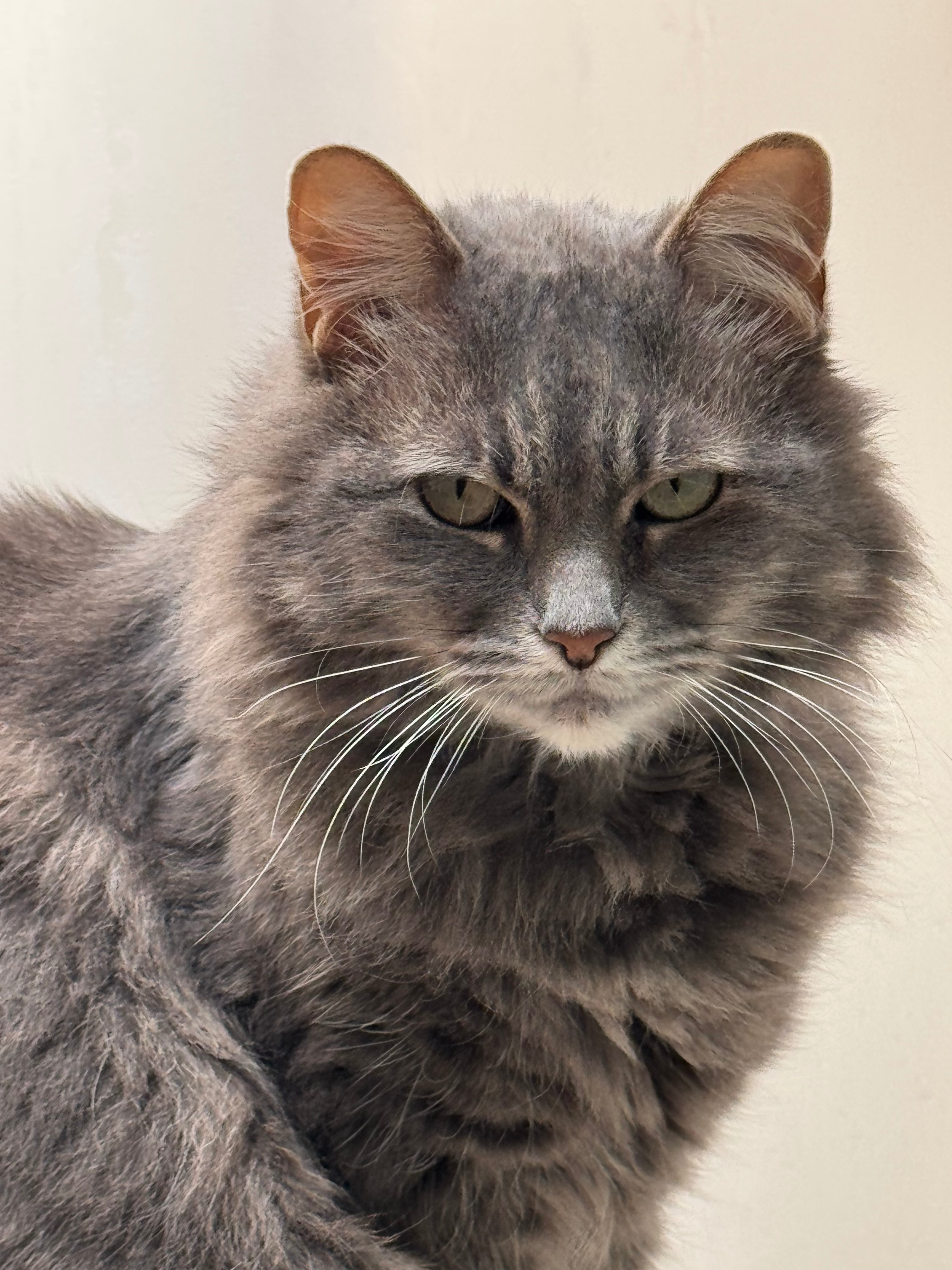 user avatar image for TeraBite