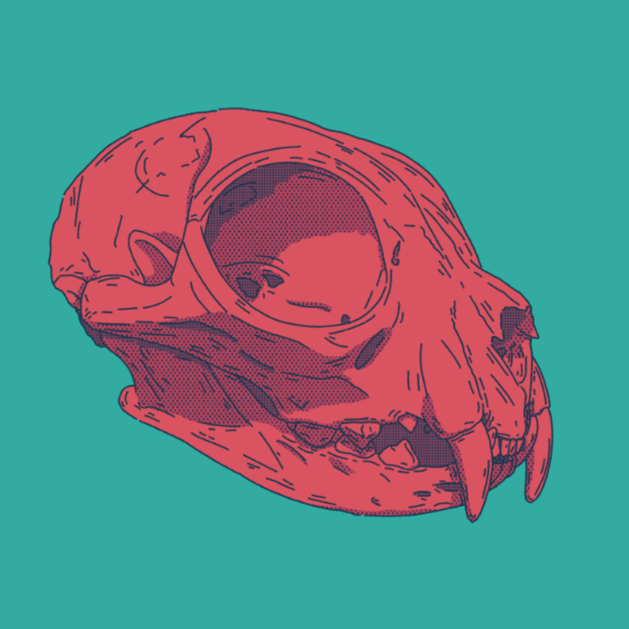 user avatar image for Haven Milne