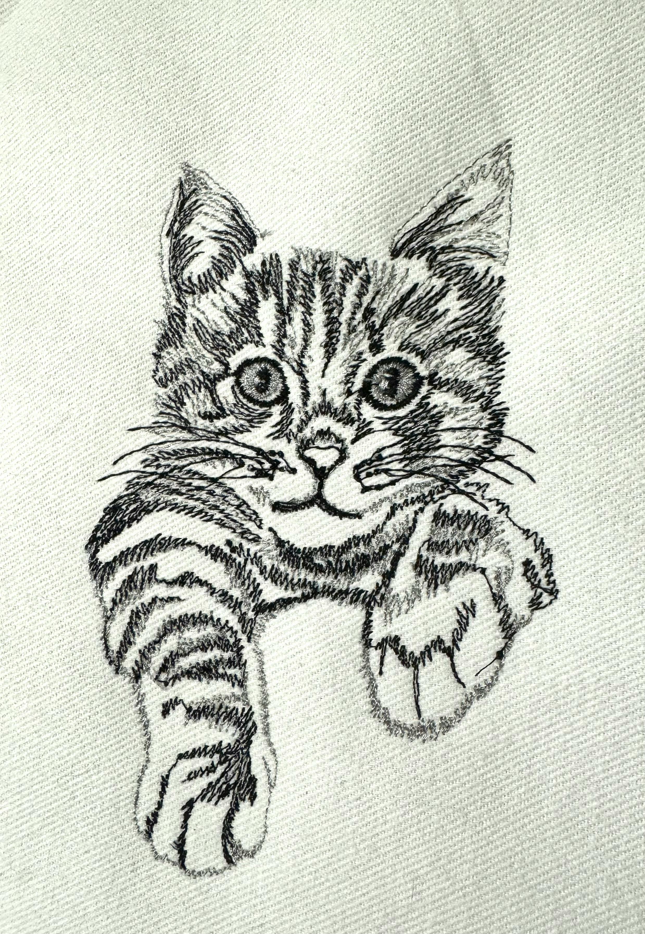 Black and White Kitten on White Denim