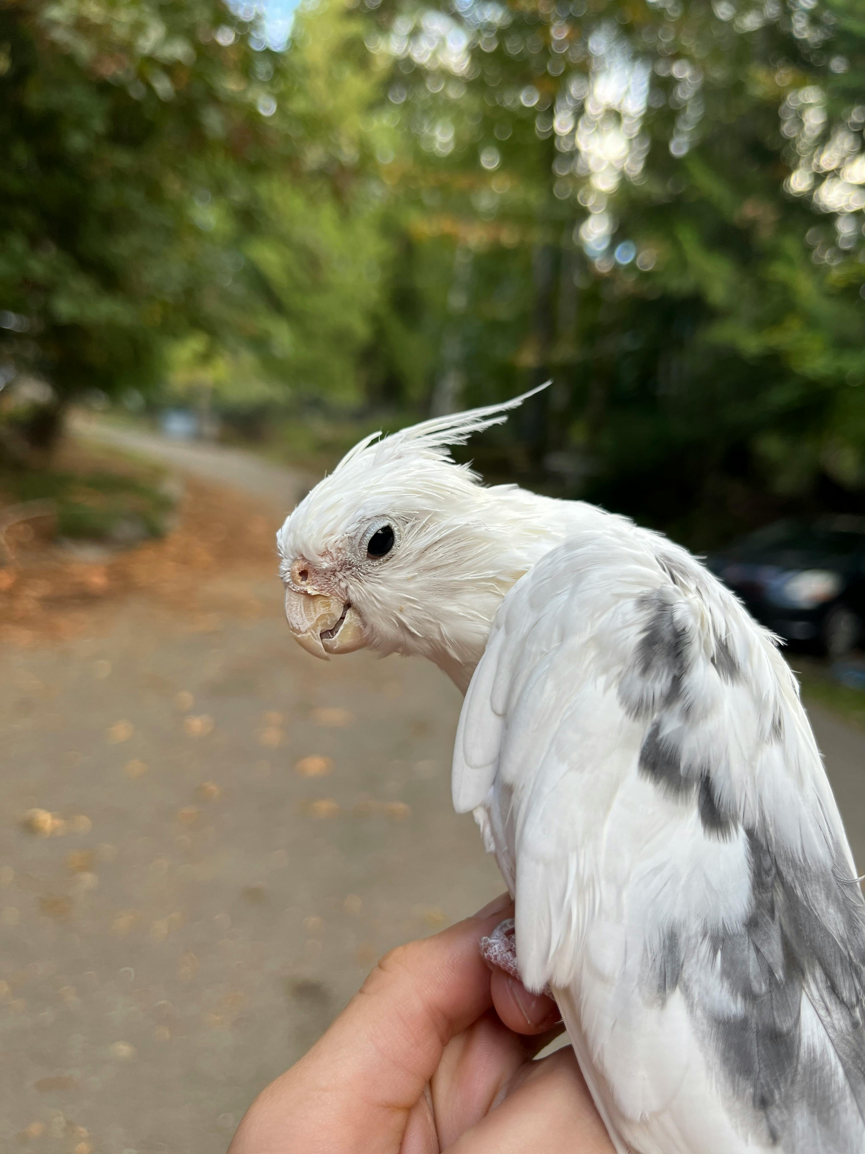 user avatar image for EMOSTAG