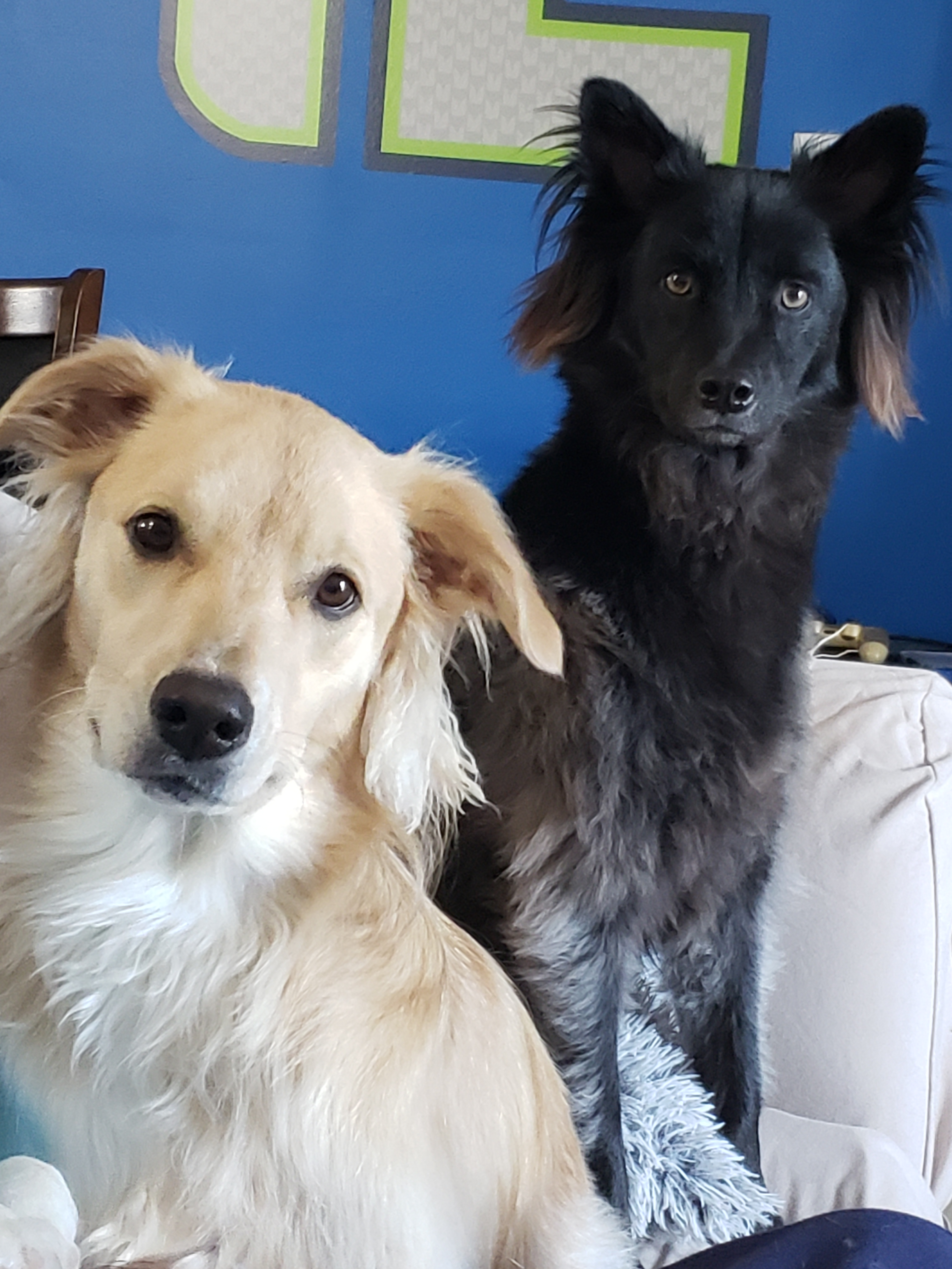 user avatar image for Jesse