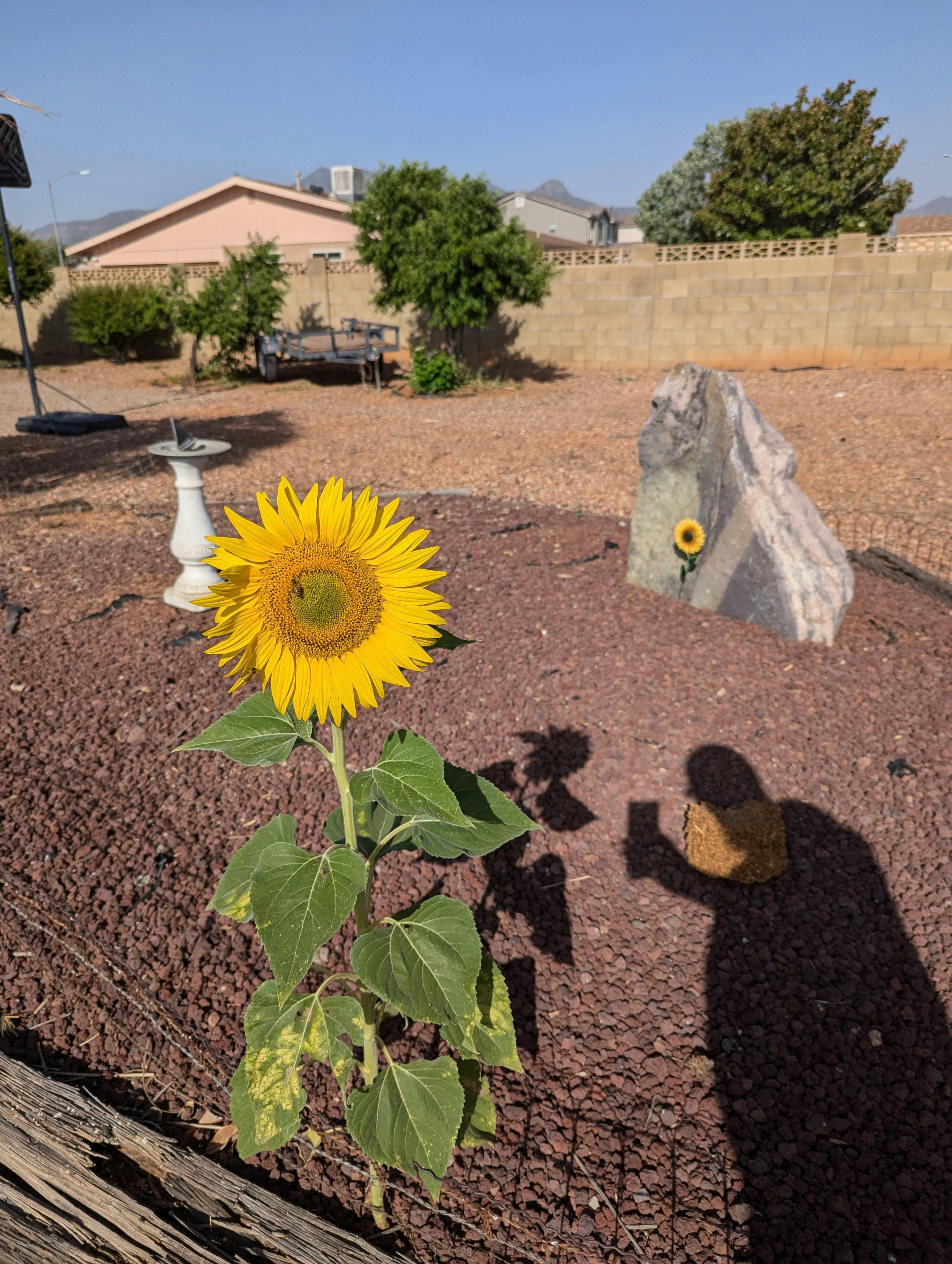 user avatar image for Gawain