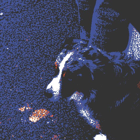 user avatar image for NapoRen