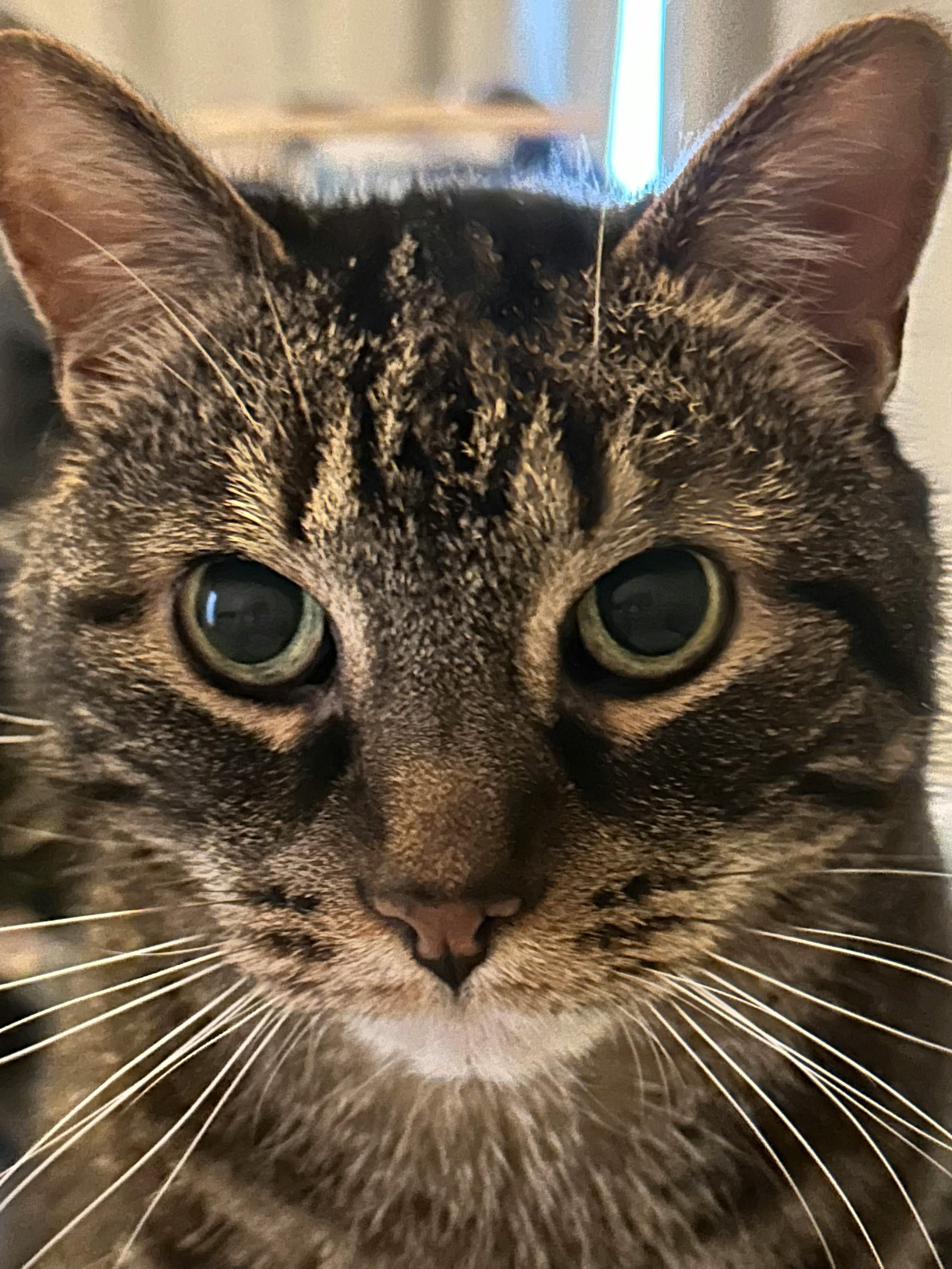 user avatar image for Jennifer 