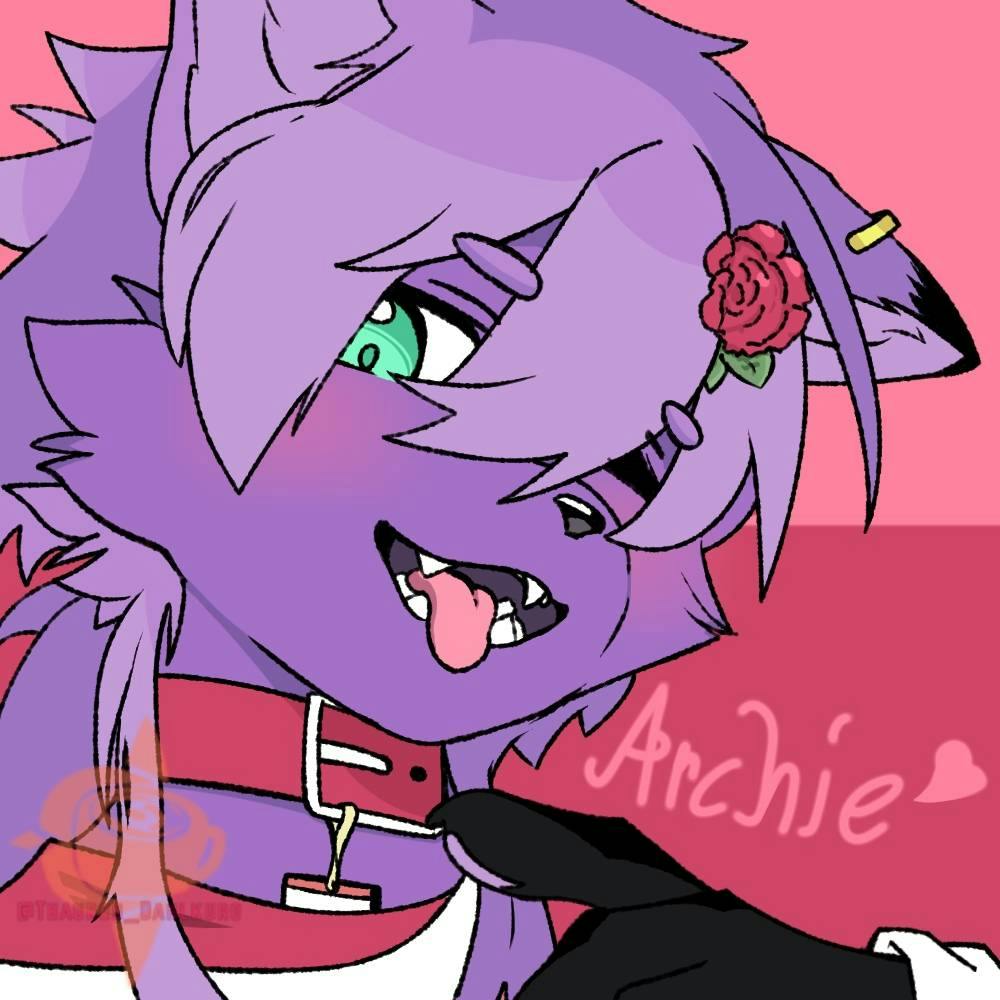 user avatar image for Archy