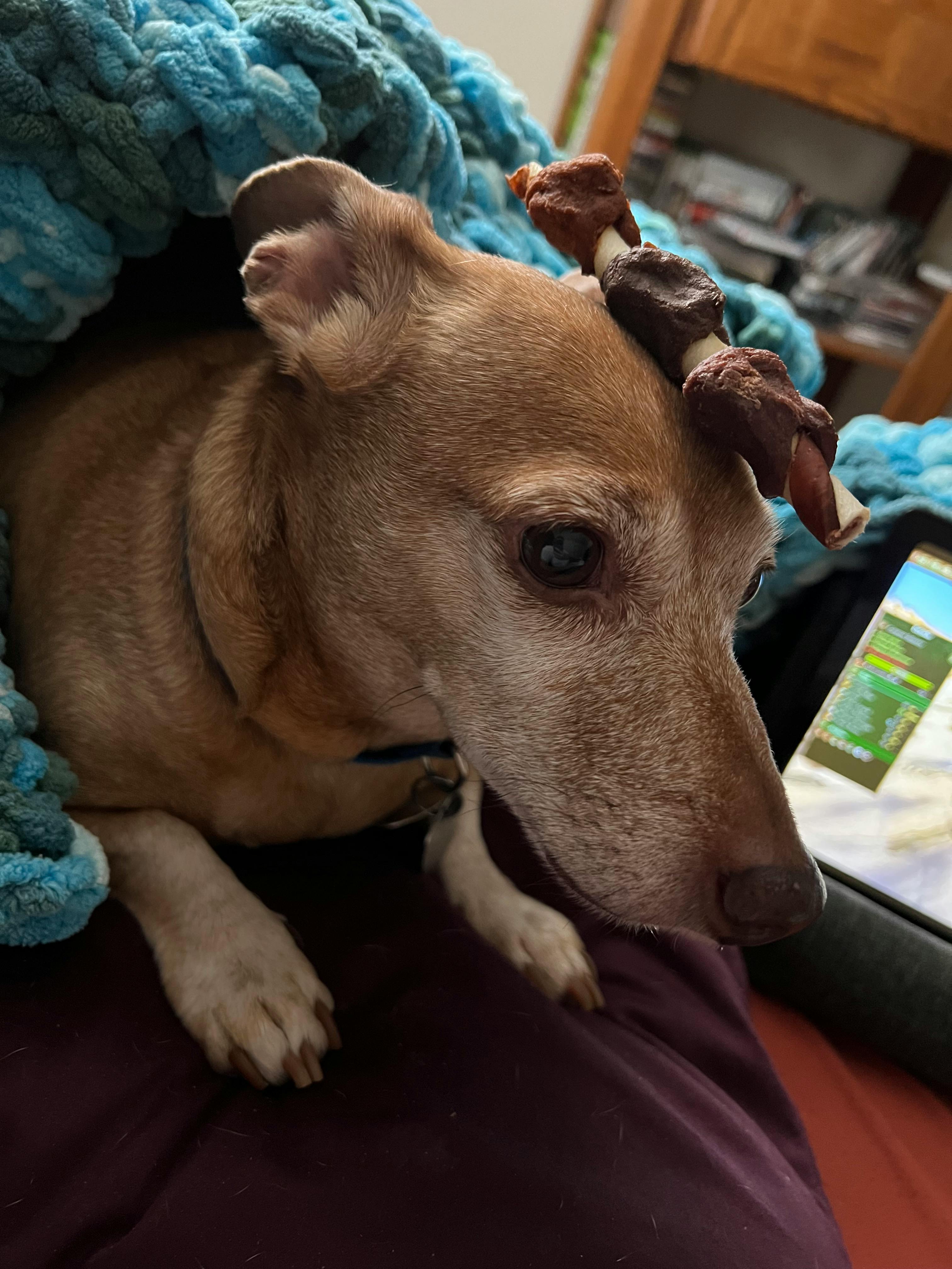 user avatar image for Briar Chappell