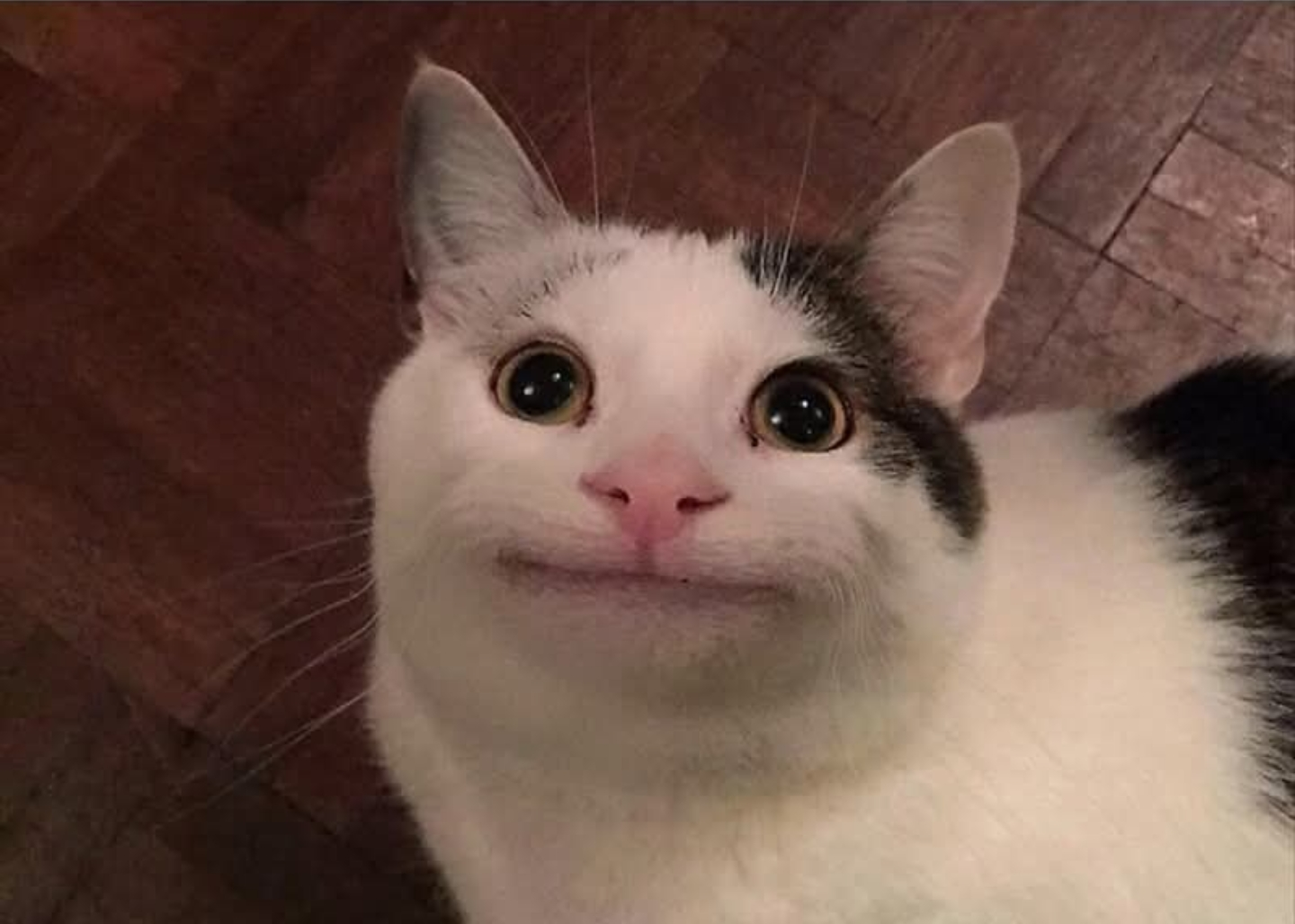 user avatar image for Tdub415