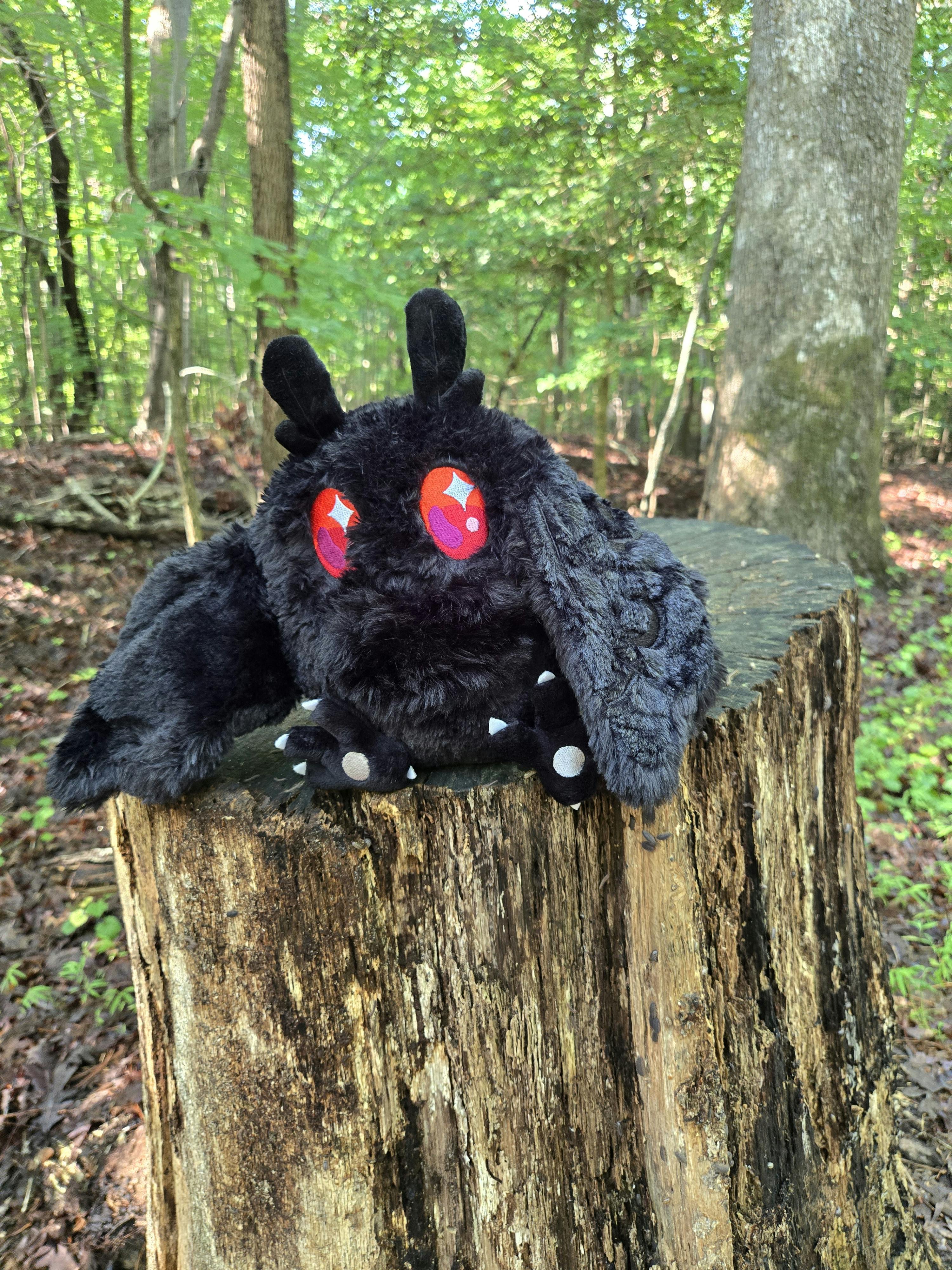 user avatar image for Elizabeth Viglietta