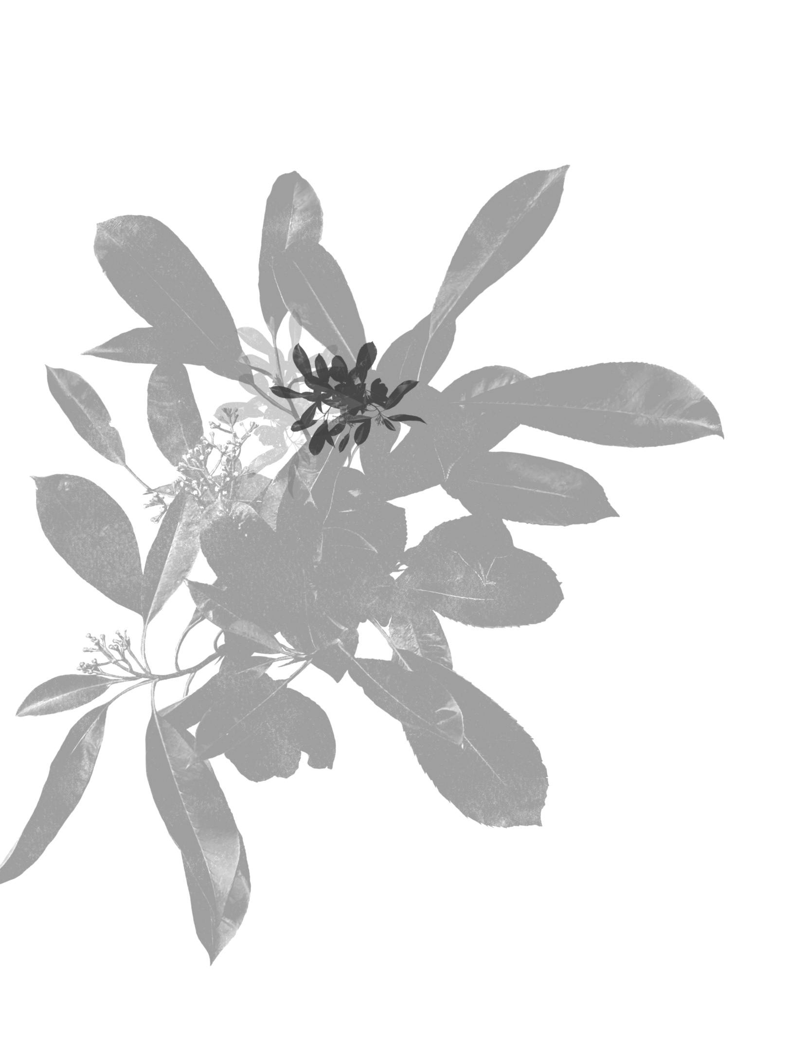 user avatar image for Jamia Prewit