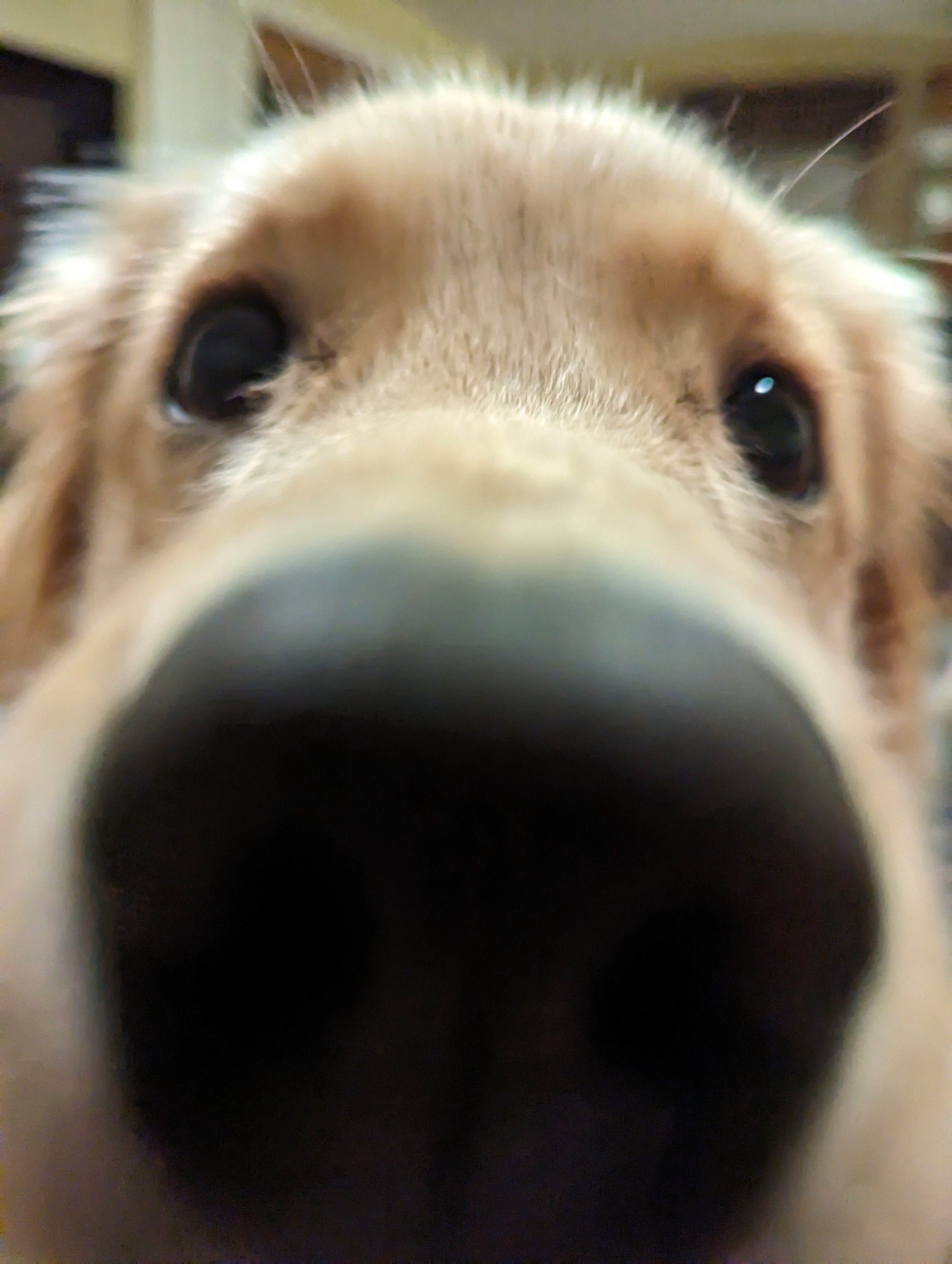 user avatar image for Bridget G.