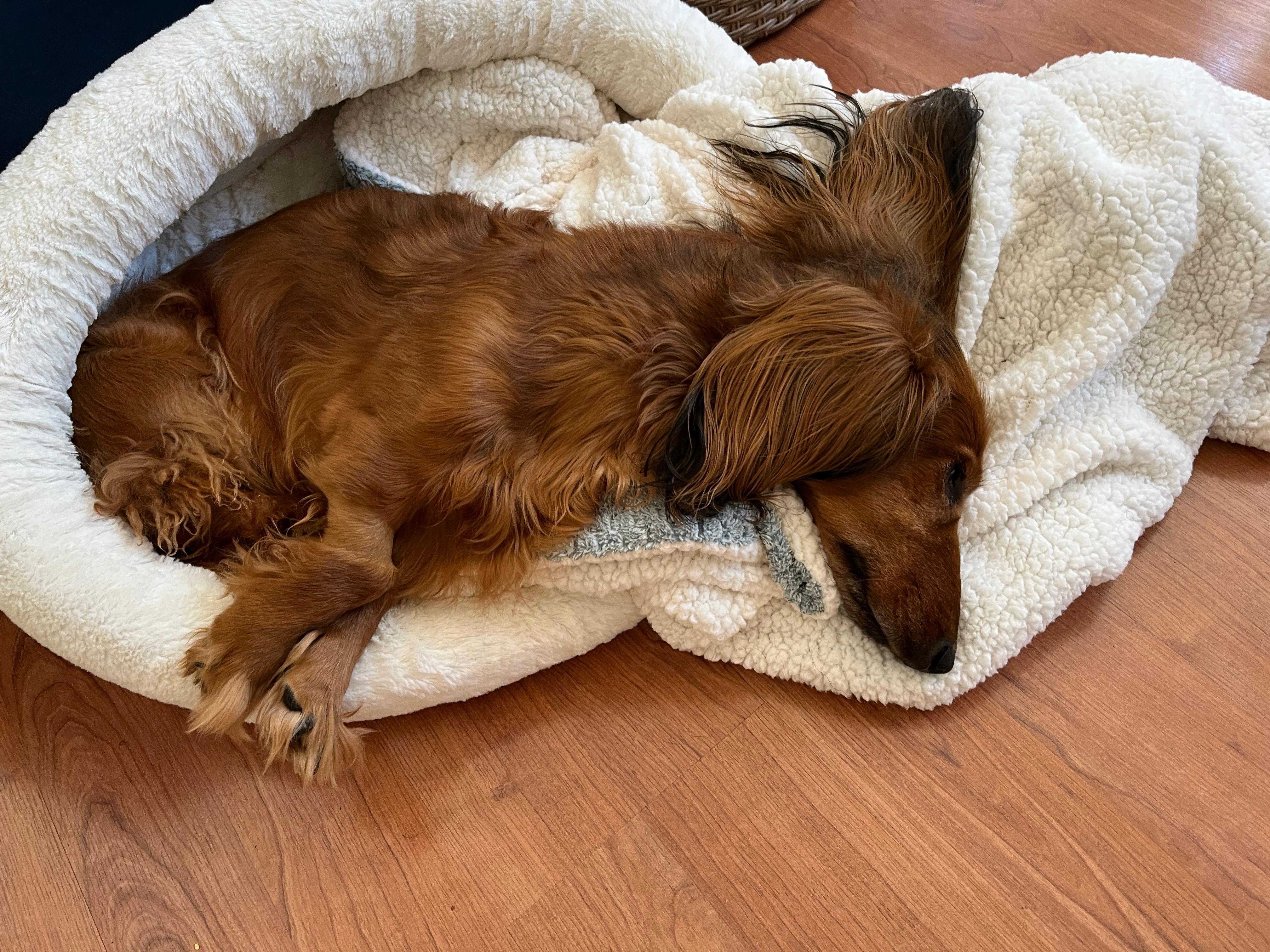 user avatar image for Sparky