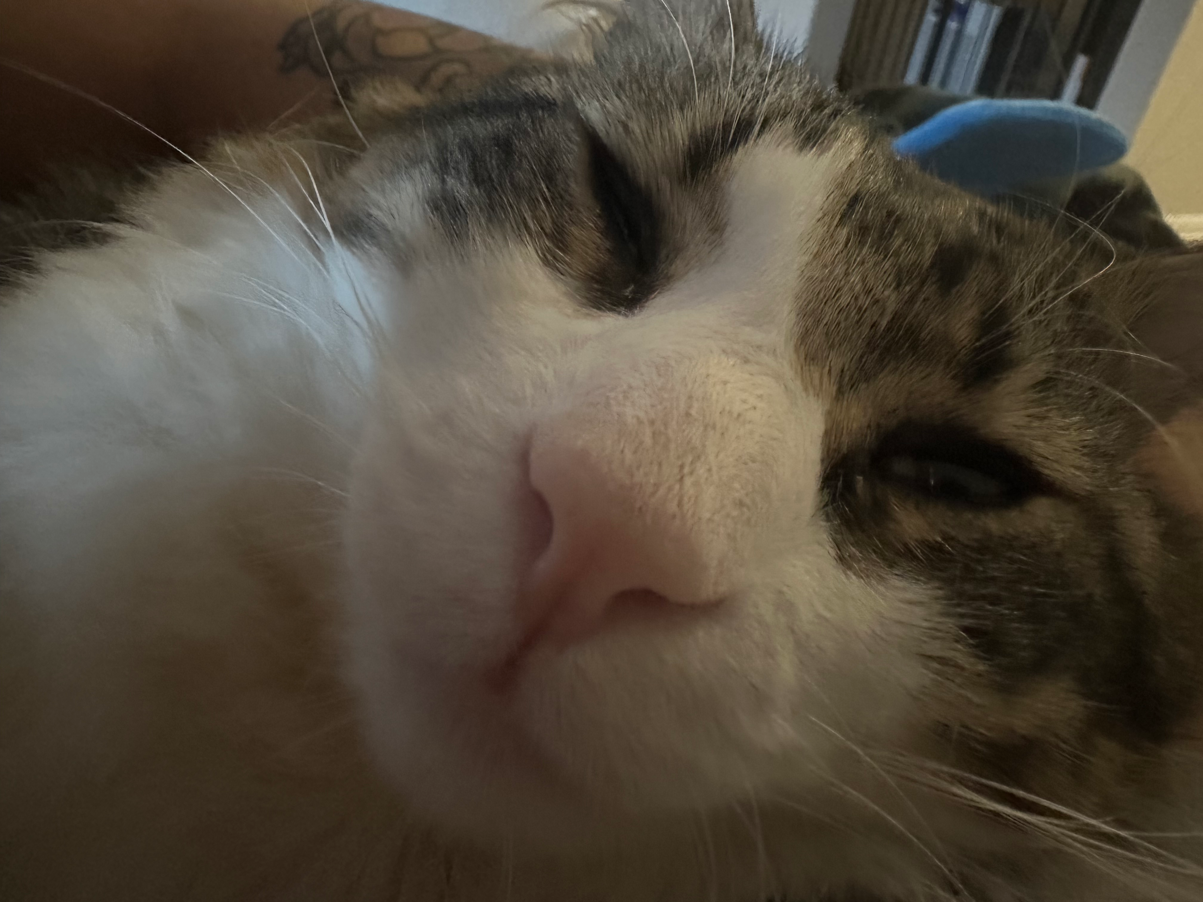 user avatar image for Rhea Figueroa