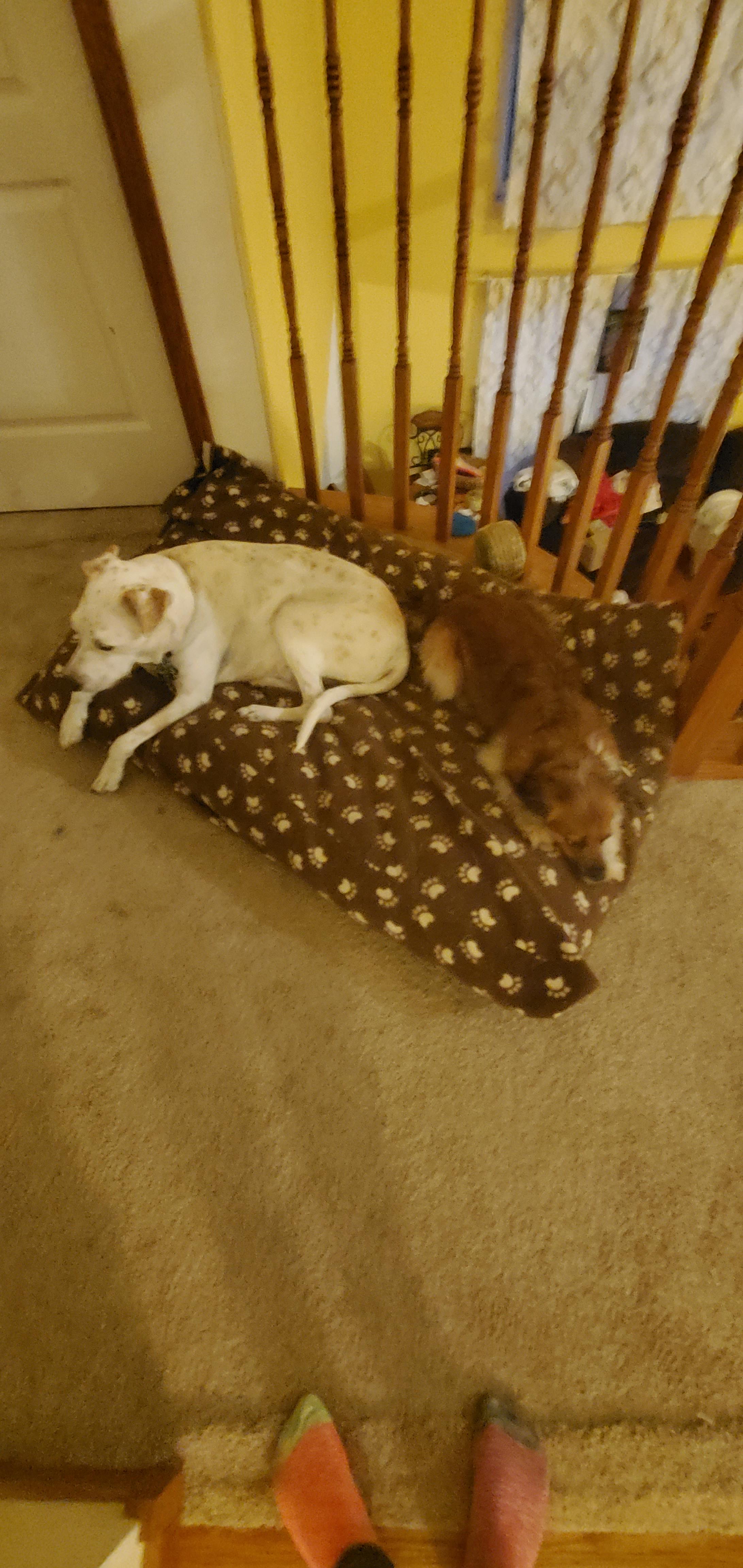 user avatar image for Amanda