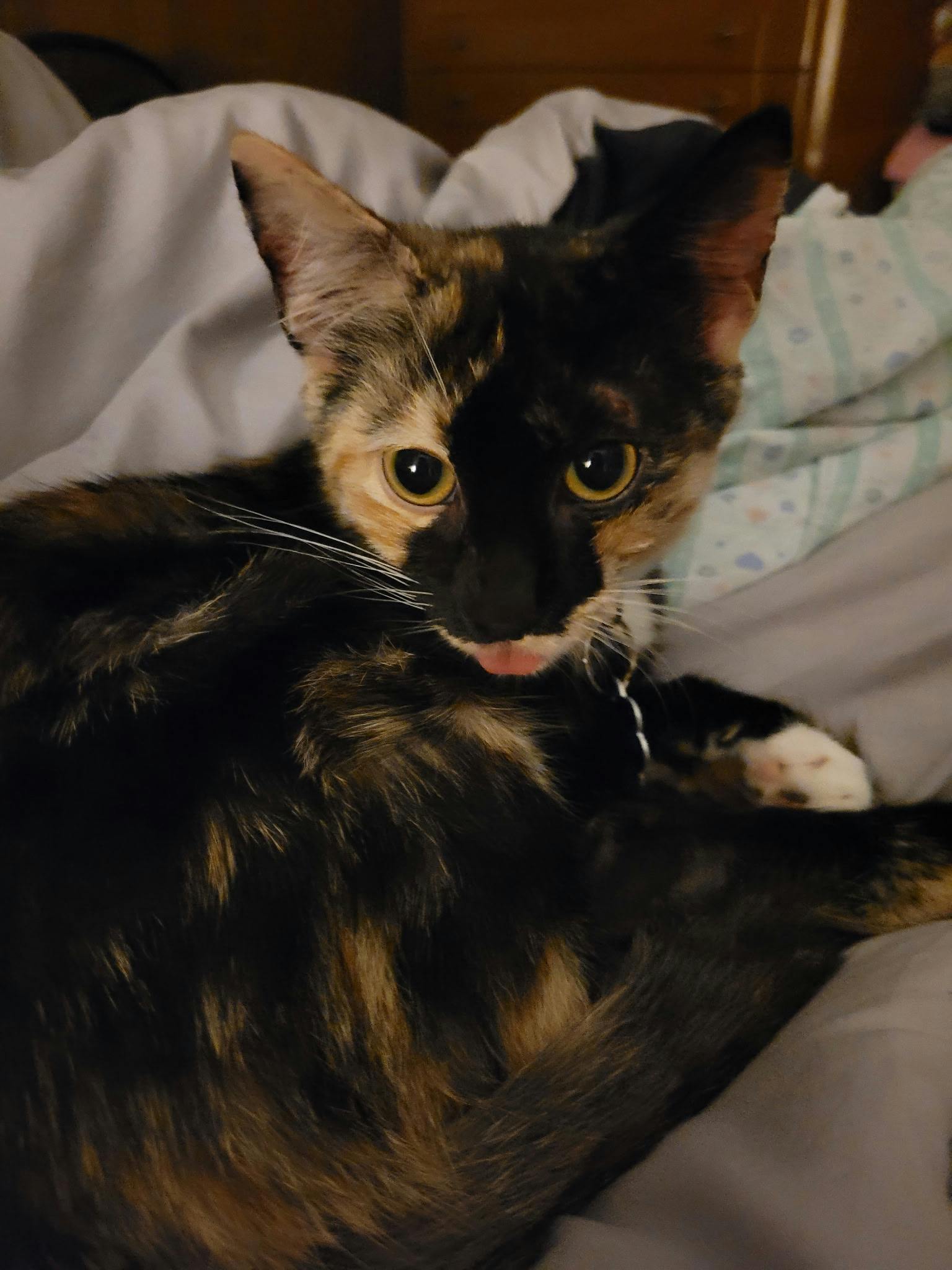 user avatar image for fullofquirks