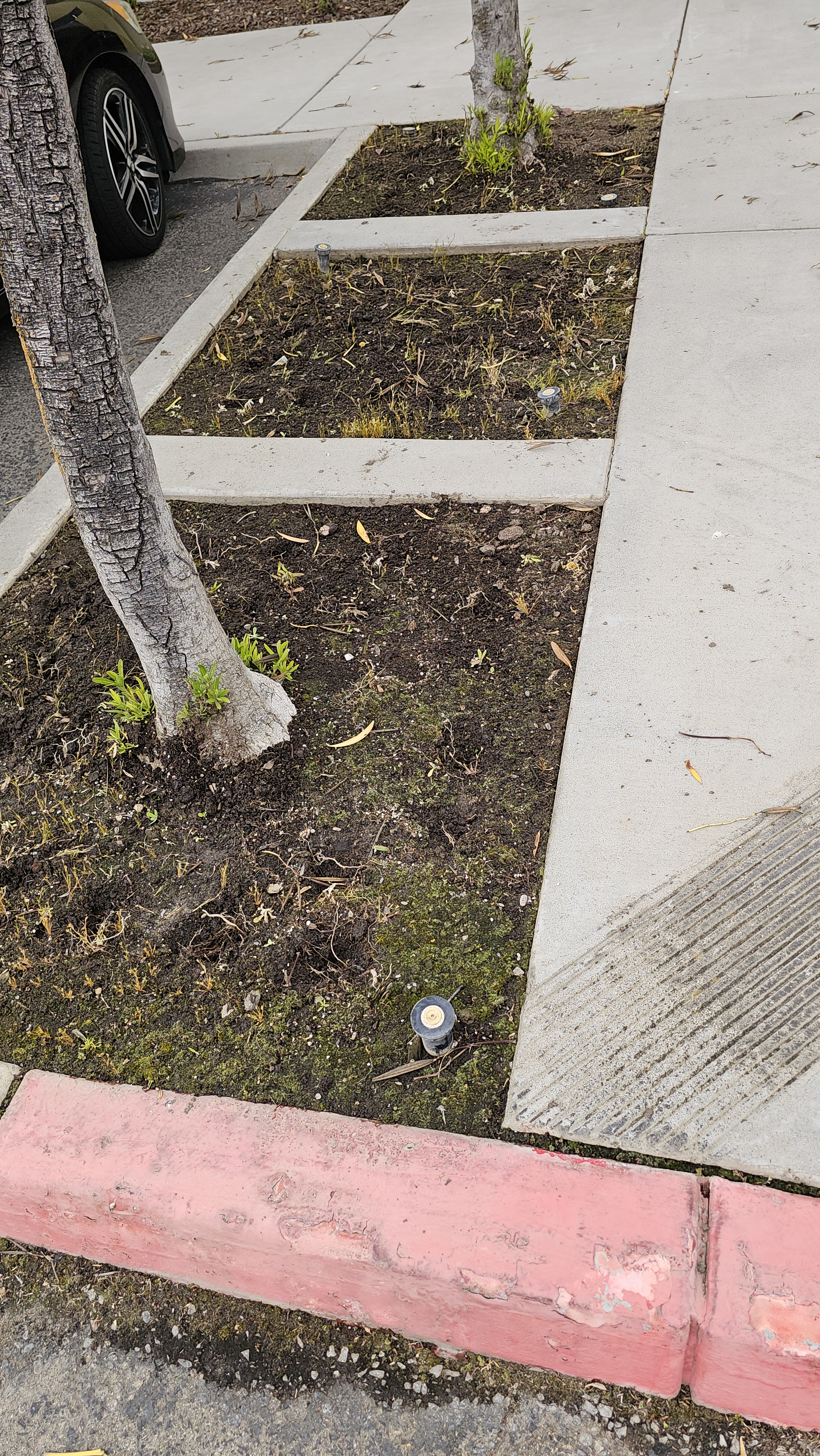 user avatar image for Peachiesfuzz 