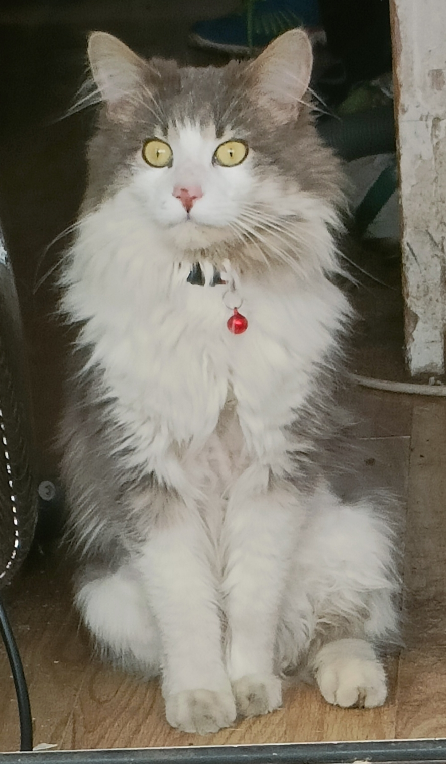 user avatar image for Alixx